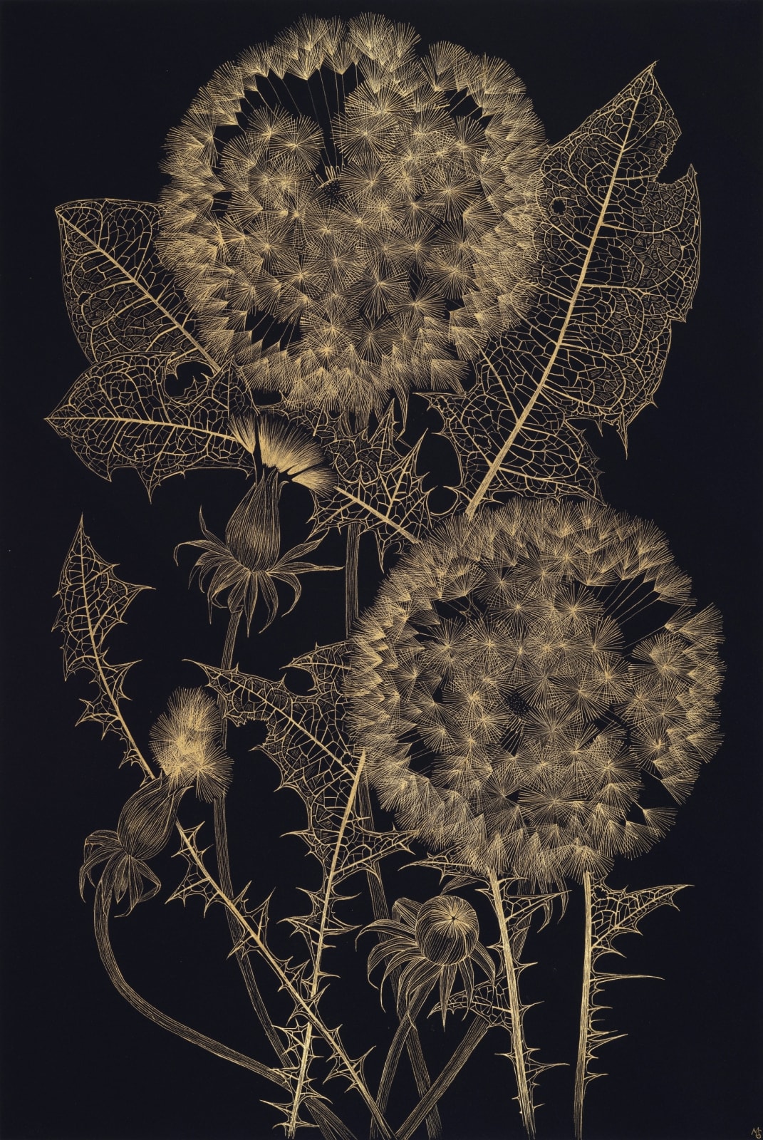 Margot Glass, Large Dandelion 9, 2024