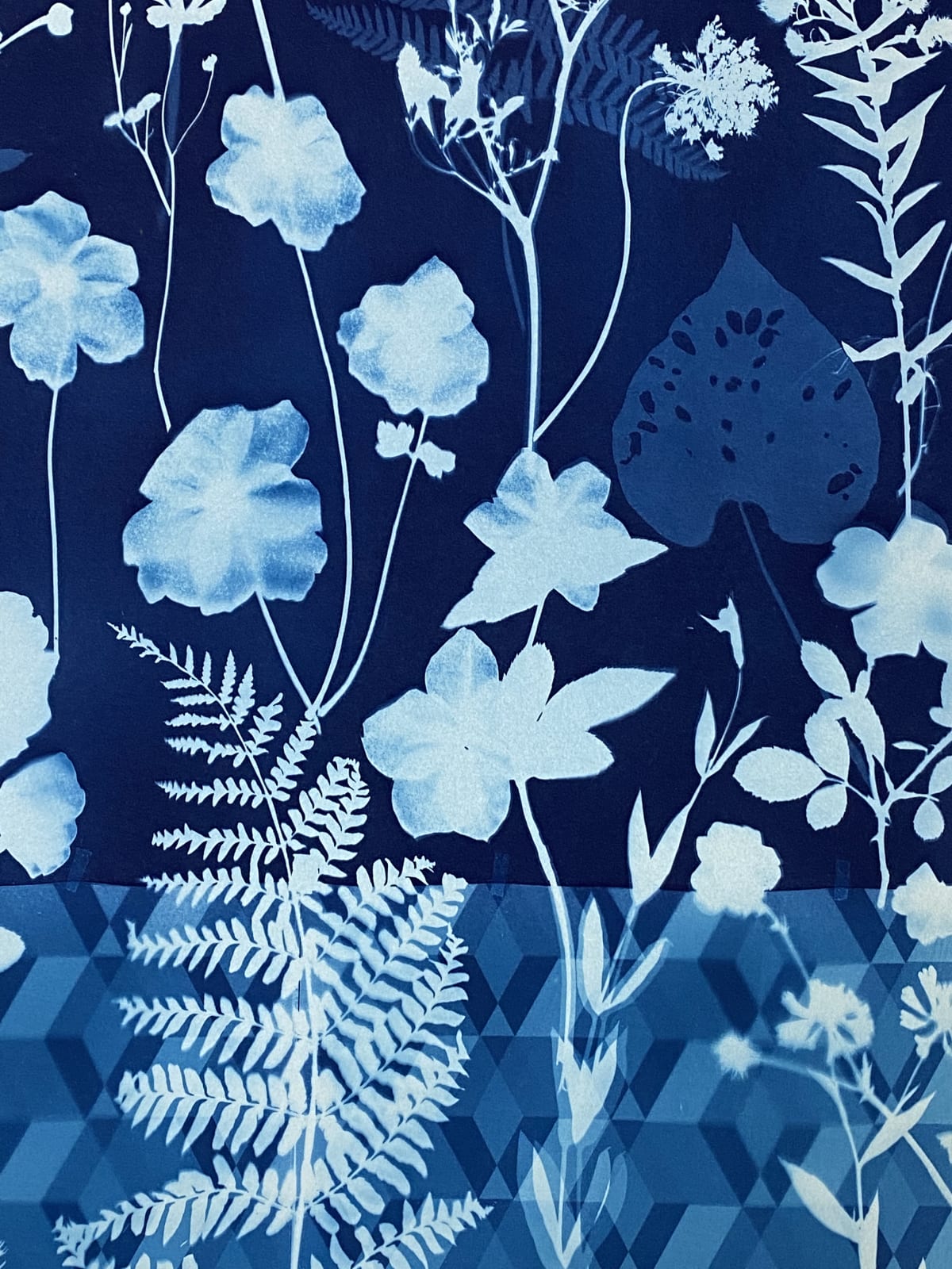 Julia Whitney Barnes, Cyanotype Painting (Anemones, Rose of Sharon, Queen Anne's Lace, Floor Pattern), 2021