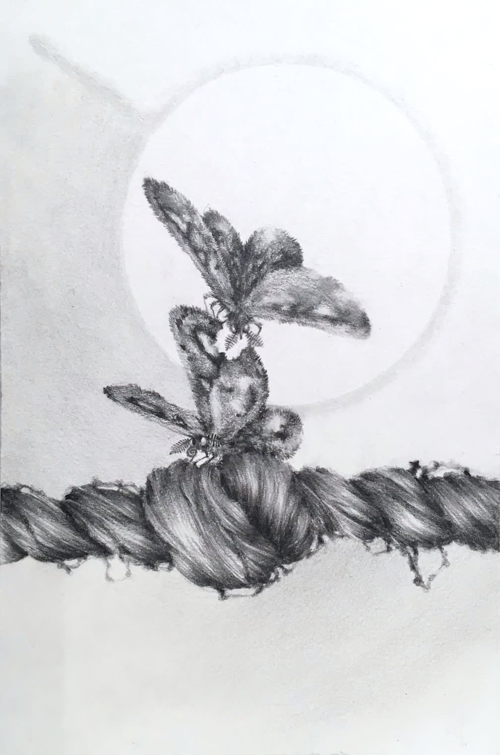 Francine Fox, Chapter Fine Focus, 2012