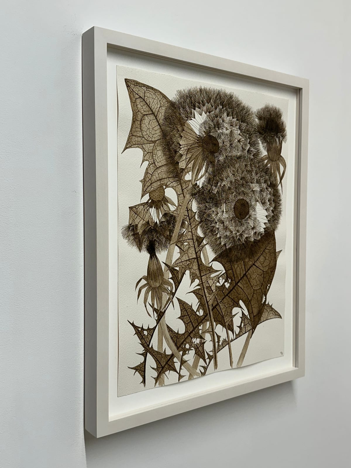 Margot Glass, Three Dandelions with Buds, 2024