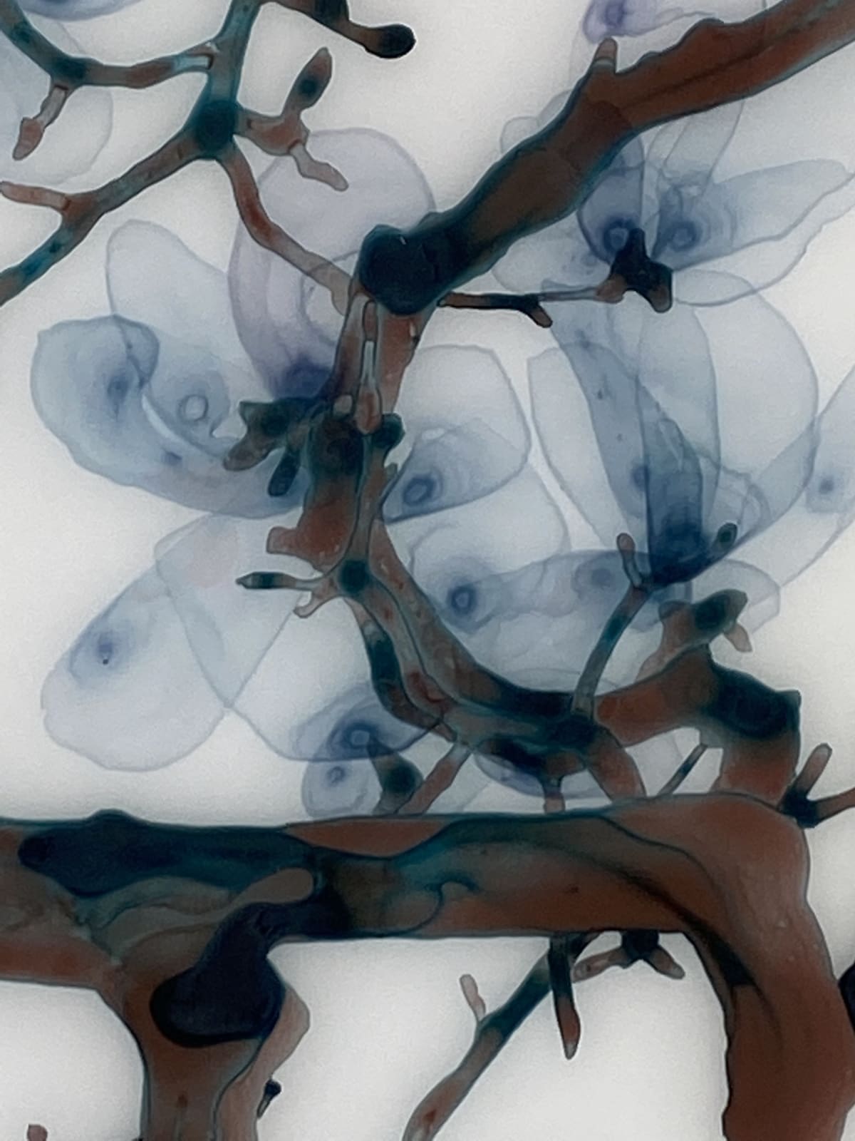 Jackie Battenfield, Spun Sugar, 2019