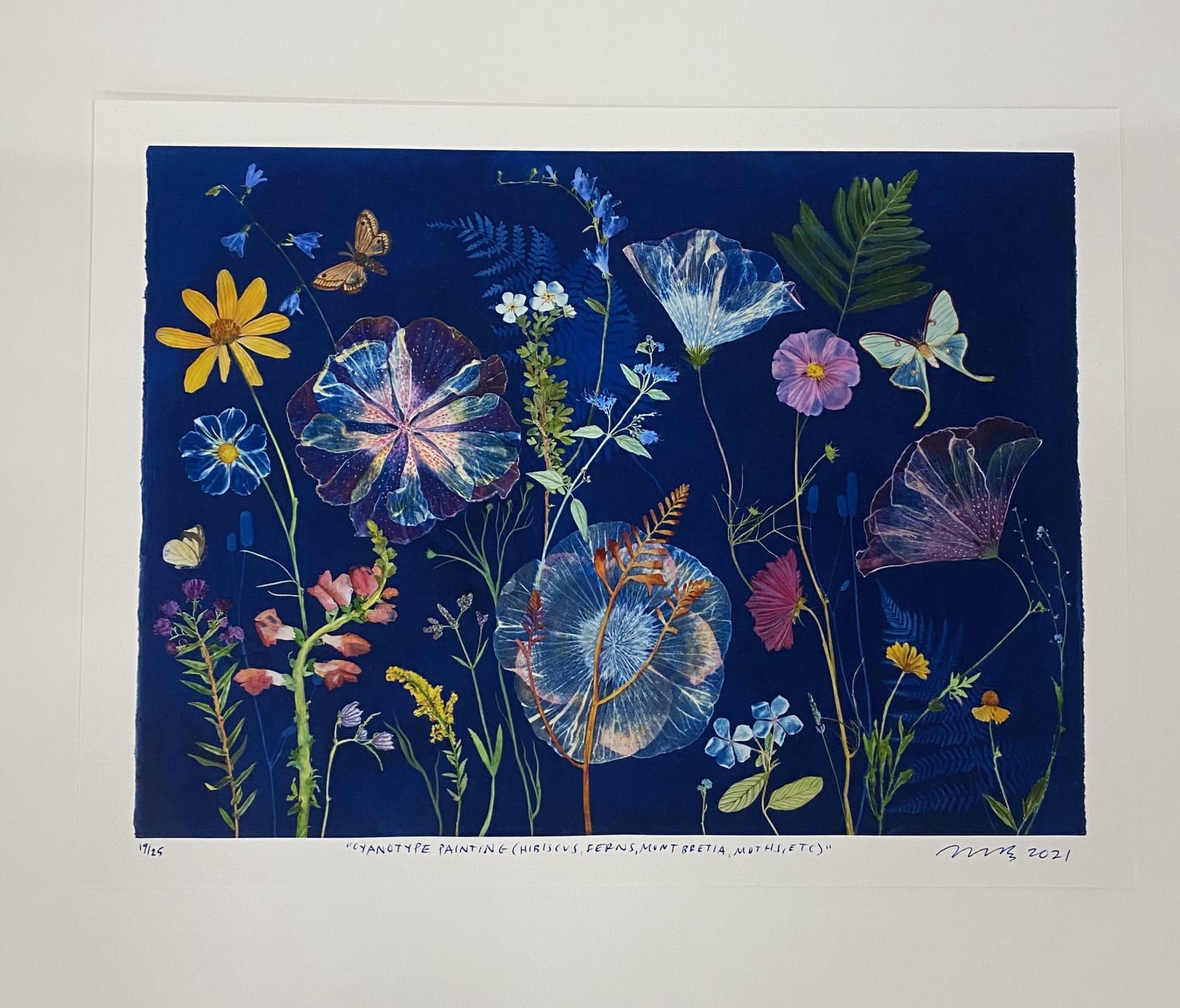 Julia Whitney Barnes, Cyanotype Print (Hibiscus, Ferns, Mont Bretia, Moths, etc), 2021