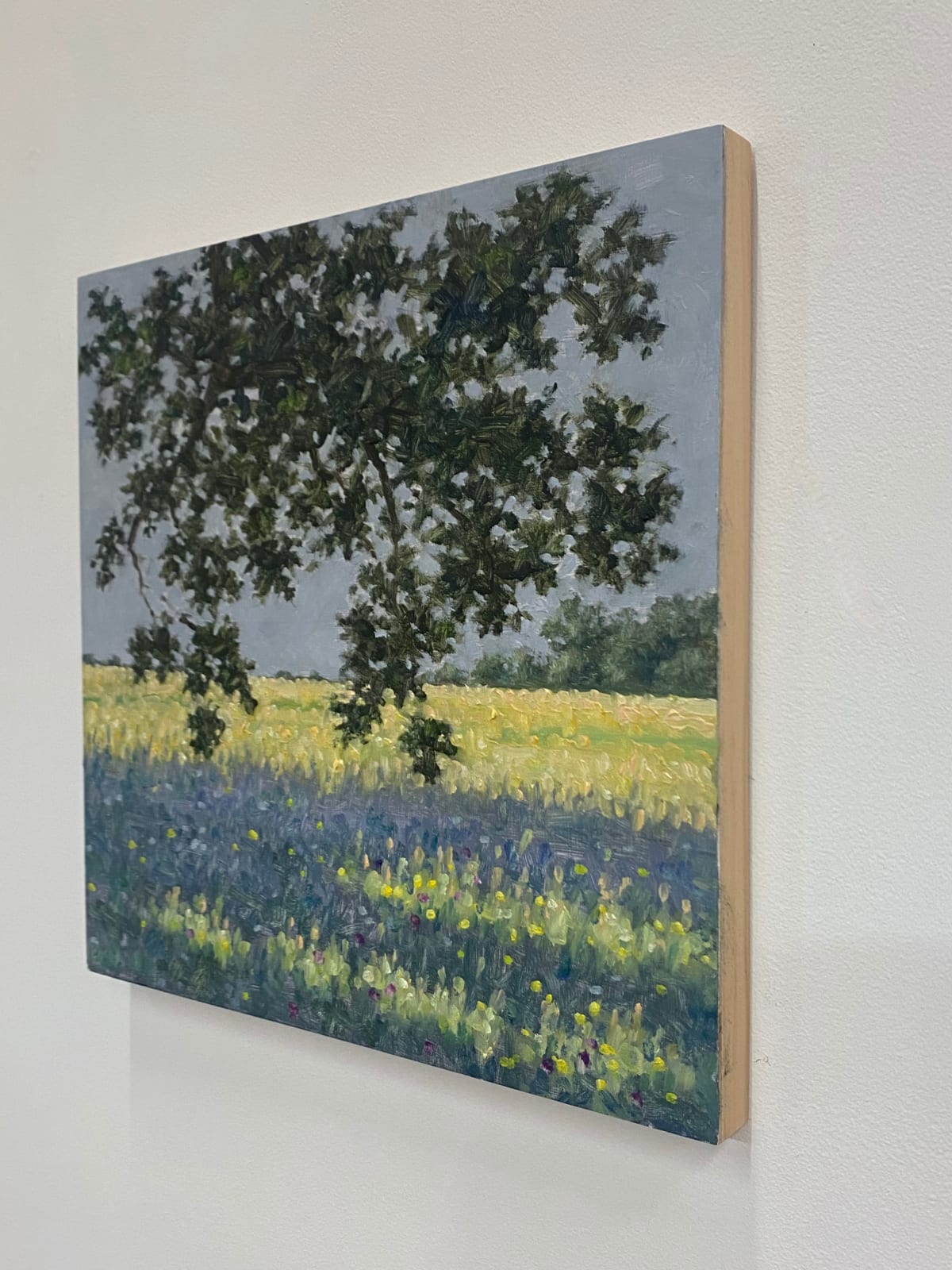 Thomas Sarrantonio, Field Painting June 15, 2022