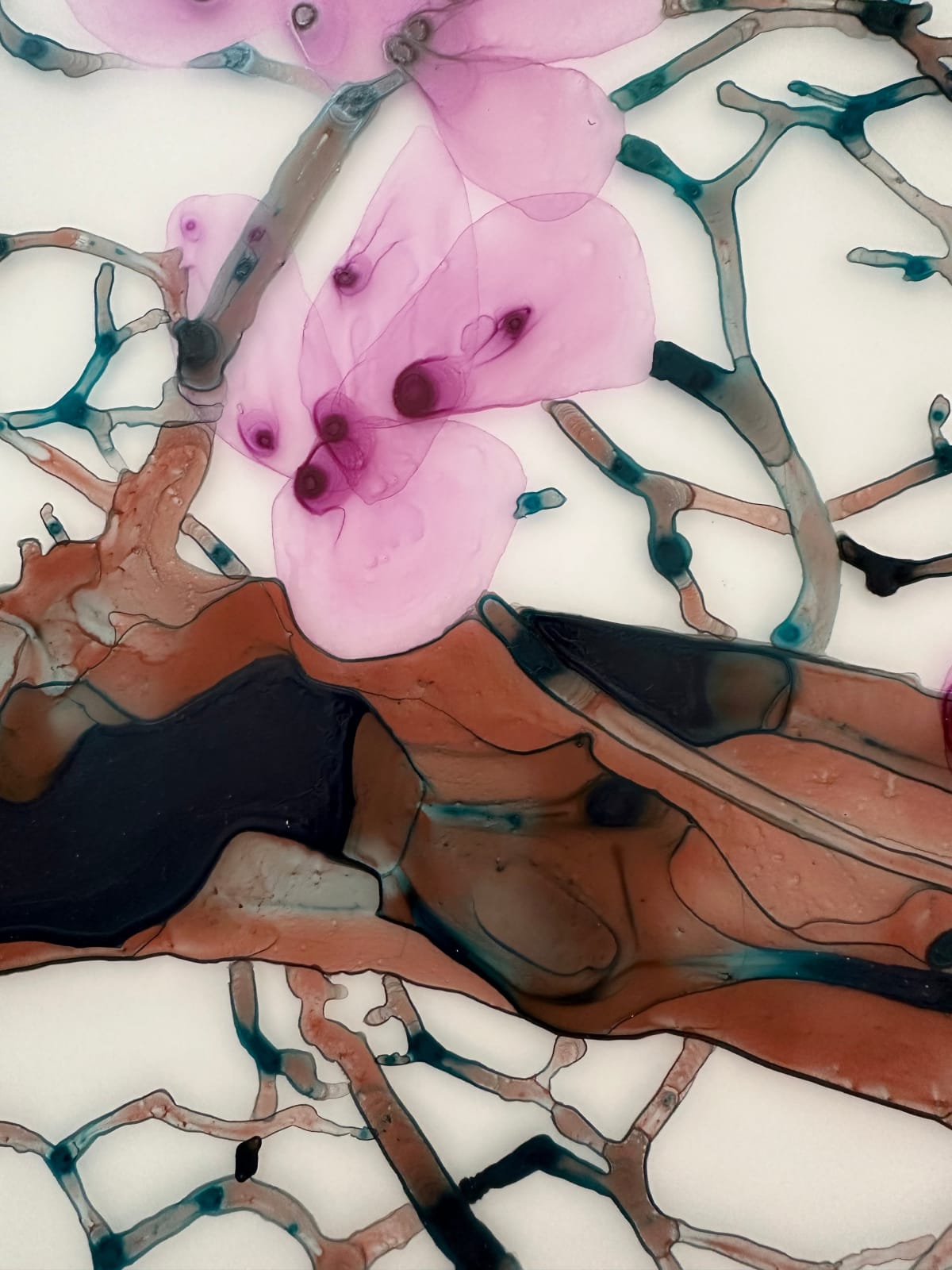 Jackie Battenfield, Late Magnolia Blossom, 2023