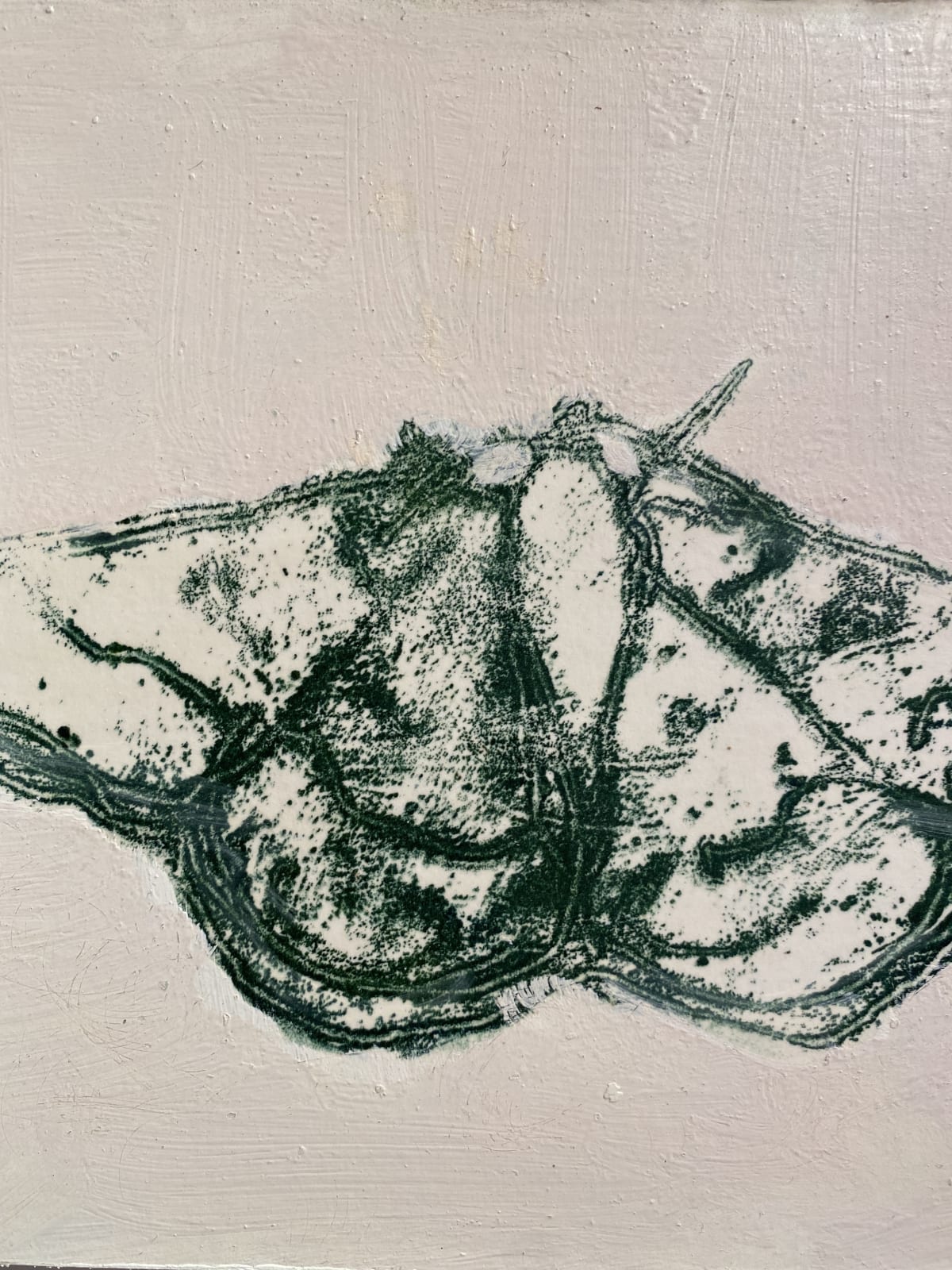 David Konigsberg, Moth #3, 2020