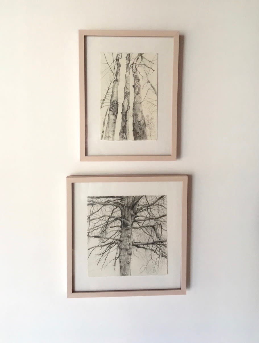 Amy Talluto, Parking Lot Tree in Winter, 2018