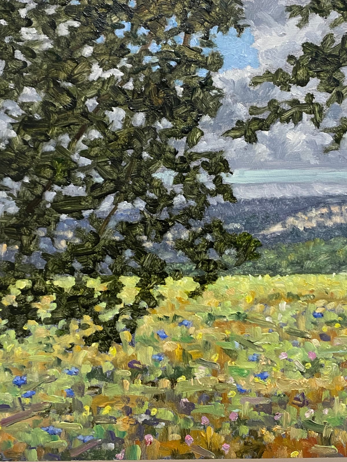 Thomas Sarrantonio, Field Painting July 19, 2021