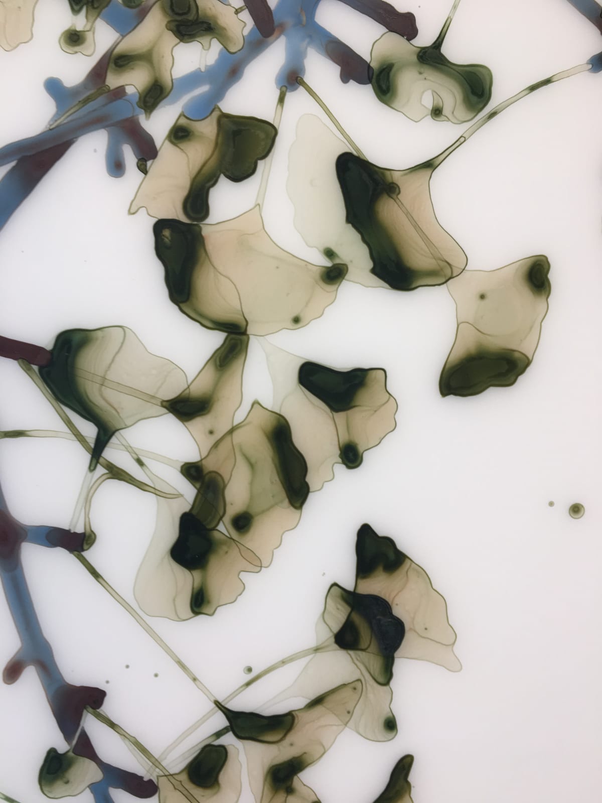Jackie Battenfield, Salt Mist, 2018