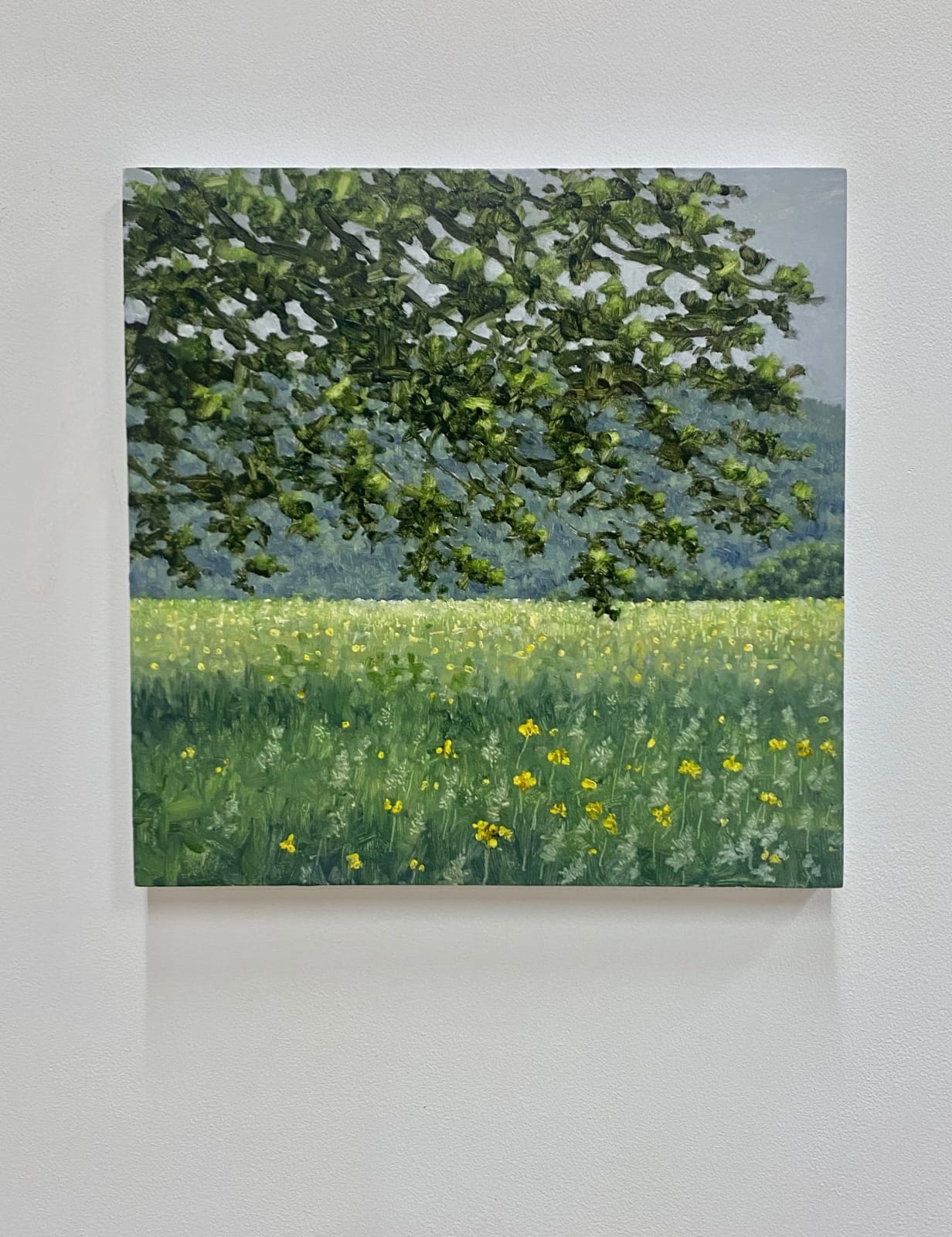 Thomas Sarrantonio, Field Painting June 4, 2021