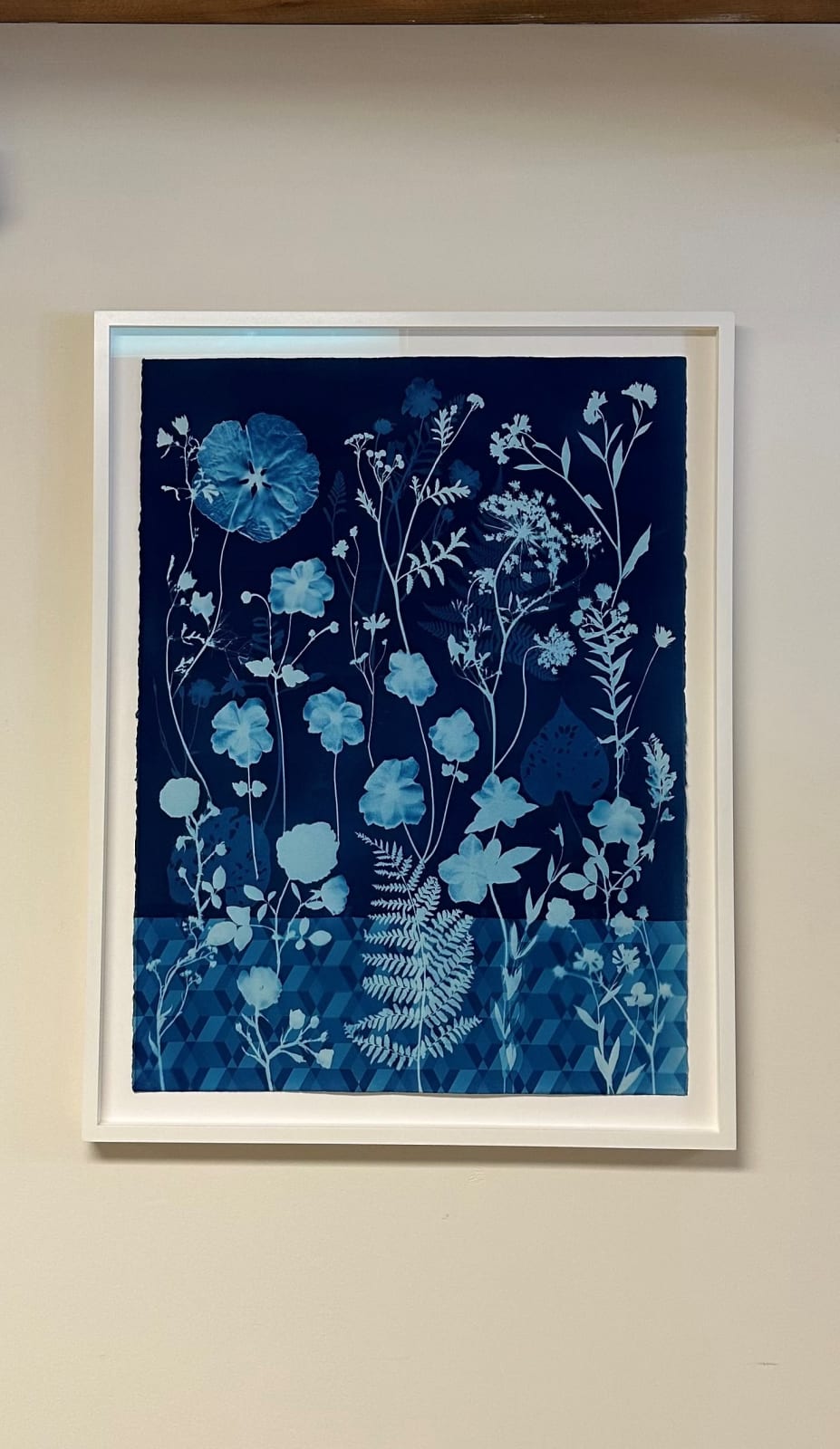 Julia Whitney Barnes, Cyanotype Painting (Anemones, Rose of Sharon, Queen Anne's Lace, Floor Pattern), 2021