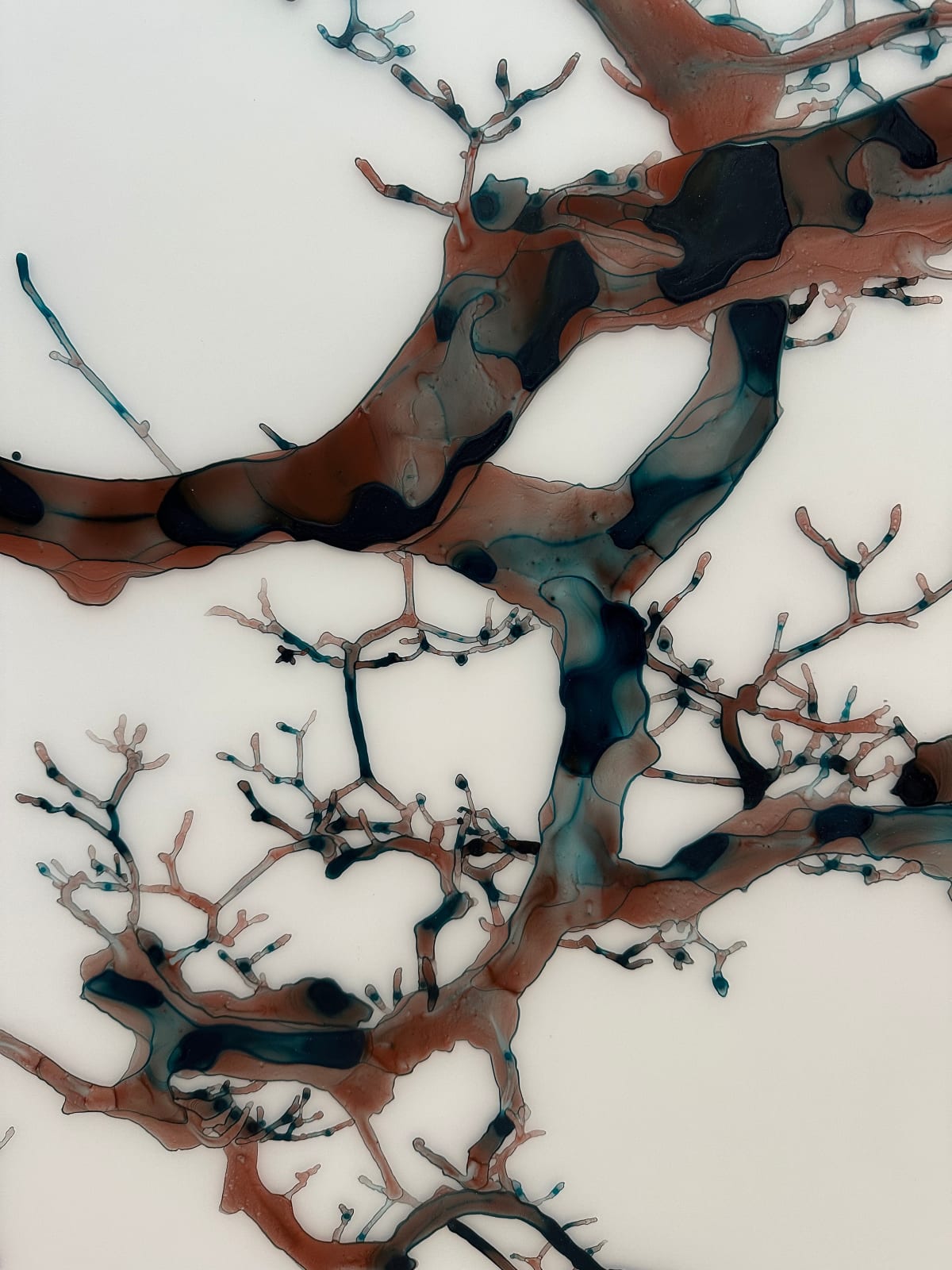 Jackie Battenfield, Late Magnolia Blossom, 2023