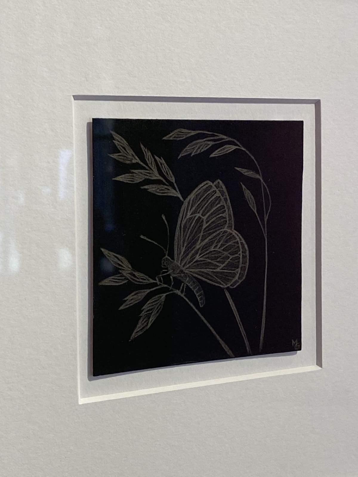 Margot Glass, Small Moth, 2020