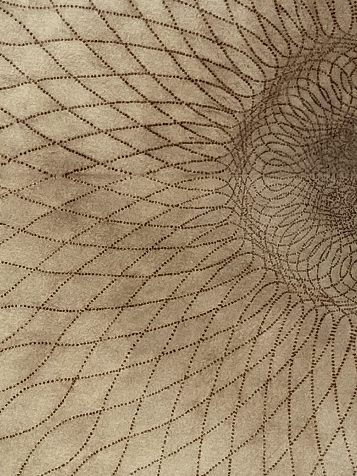 Mary Judge, Exotic Hex Series, 12/3, 2006