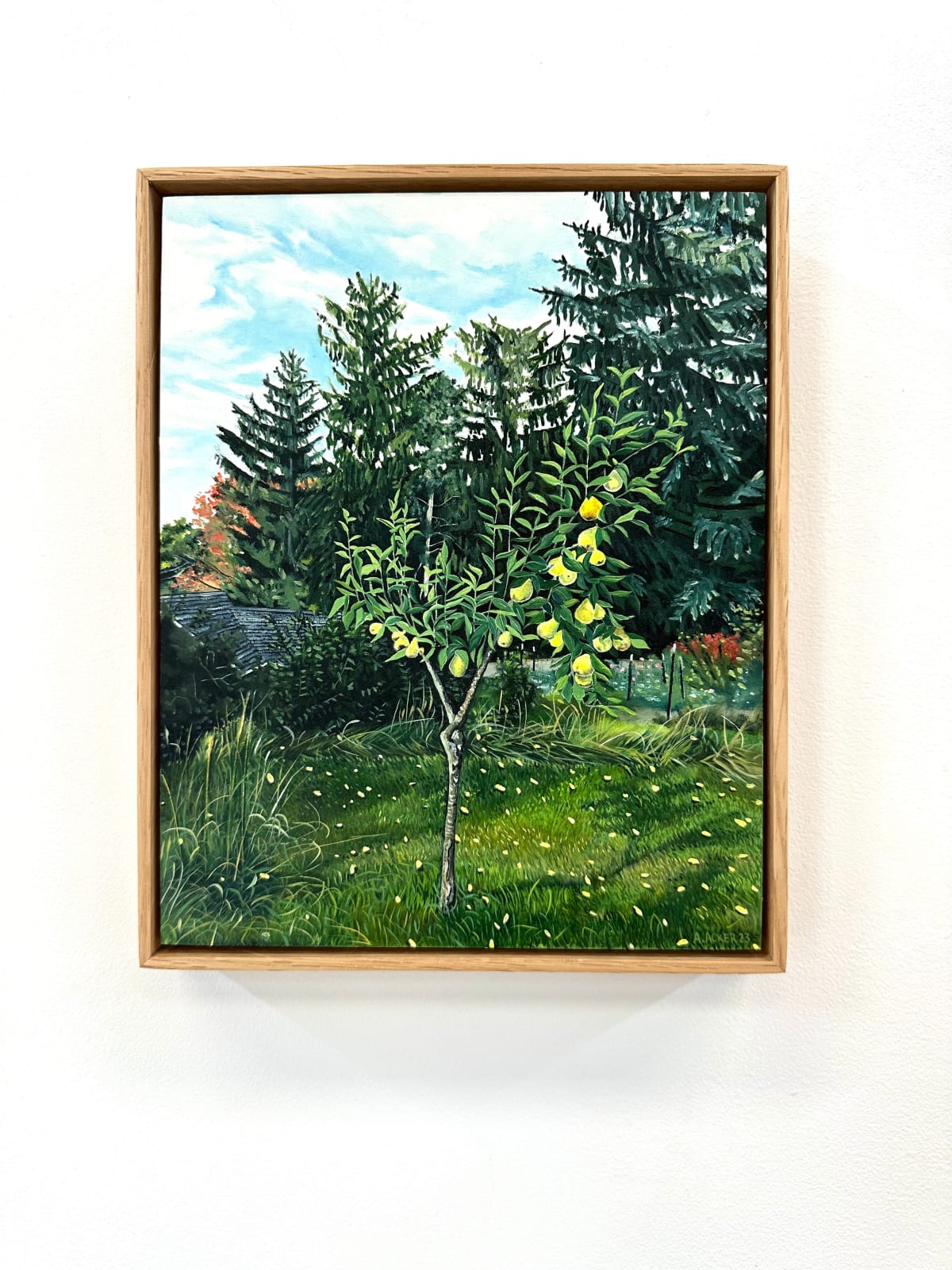 Amanda Acker, Backyard Pear, 2023
