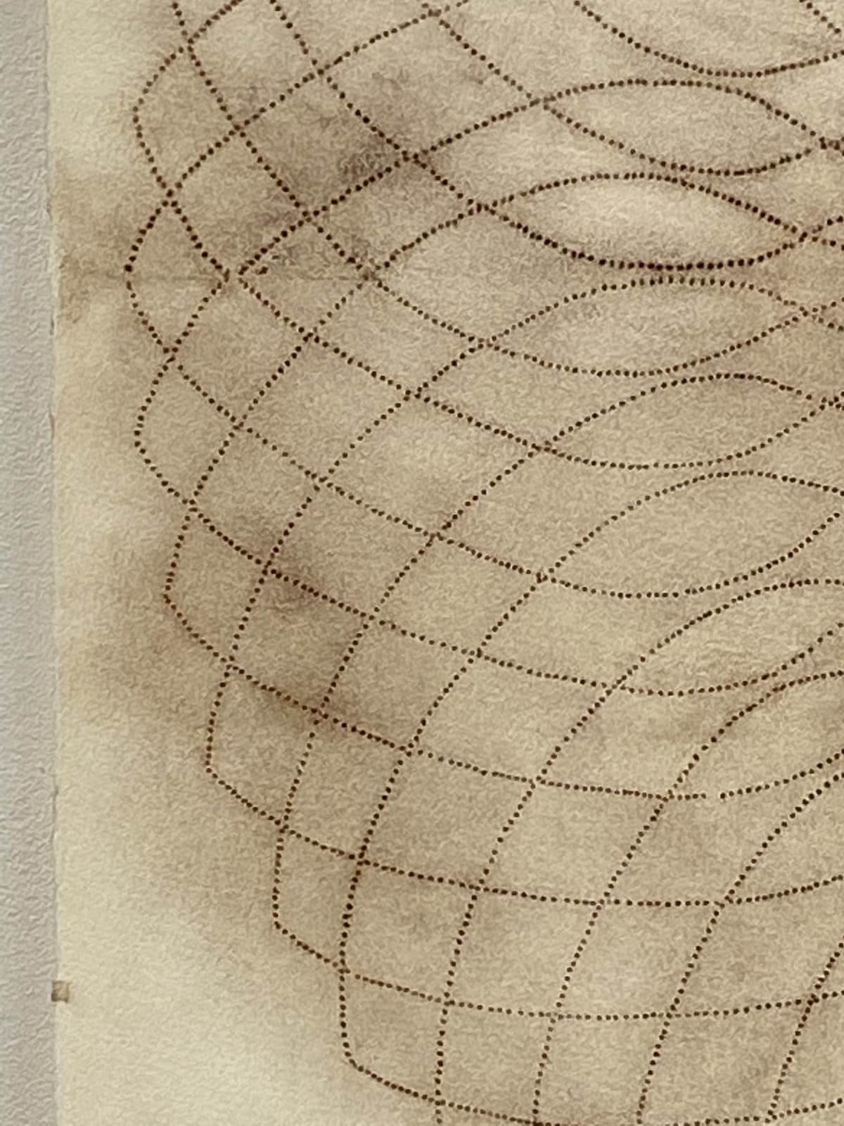 Mary Judge, Exotic Hex Series, 12/3, 2006