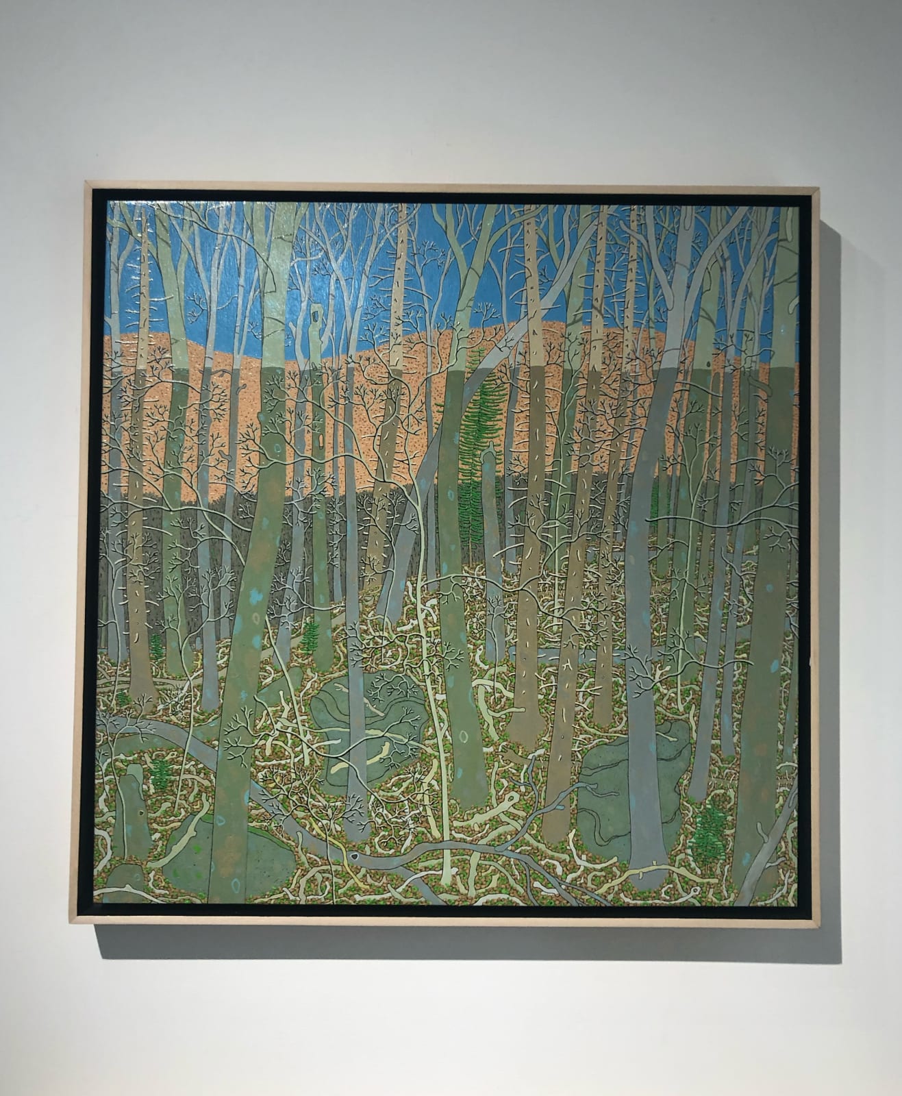 Gregory Hennen, Wyatt Mountain Shadow February, 2012
