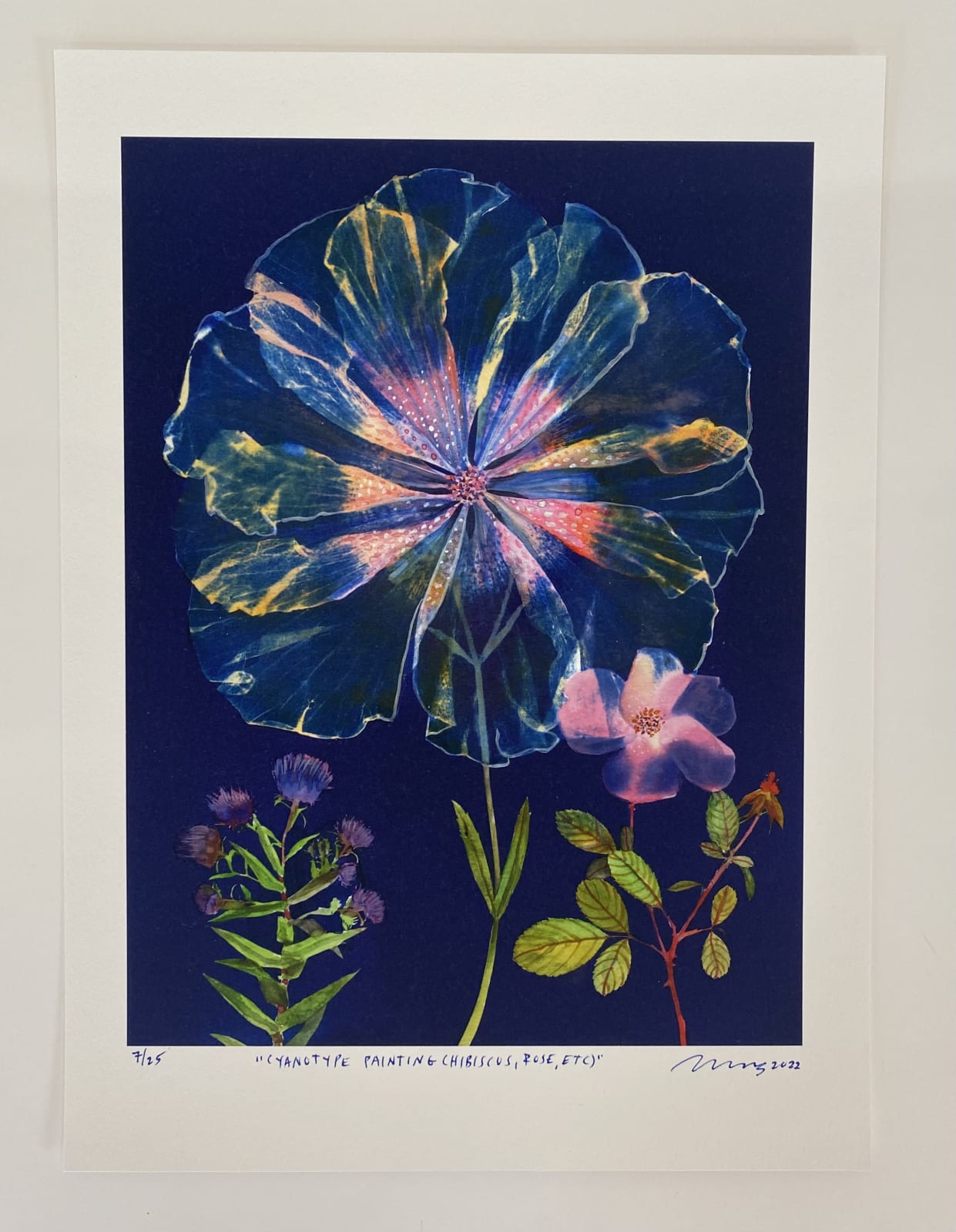 Julia Whitney Barnes, Cyanotype Print (Hibiscus, Rose, etc), 2022