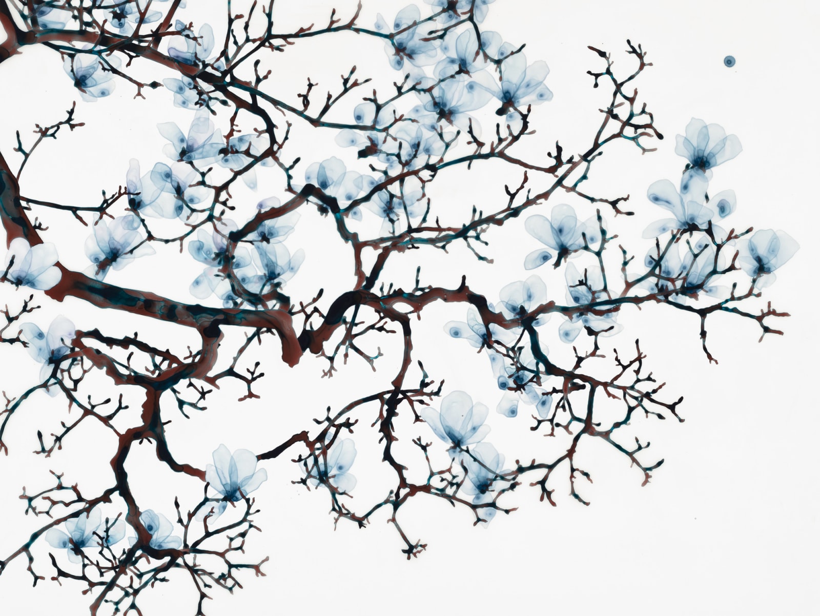Jackie Battenfield, Spun Sugar, 2019