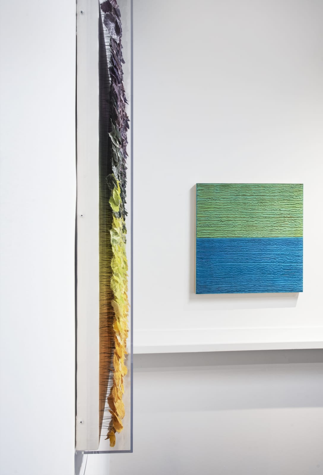 Jill Parisi, Vibrant Array, 2019