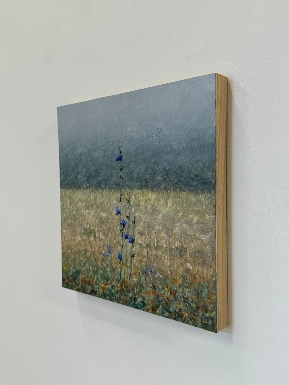 Thomas Sarrantonio, Field Painting September 12, 2023