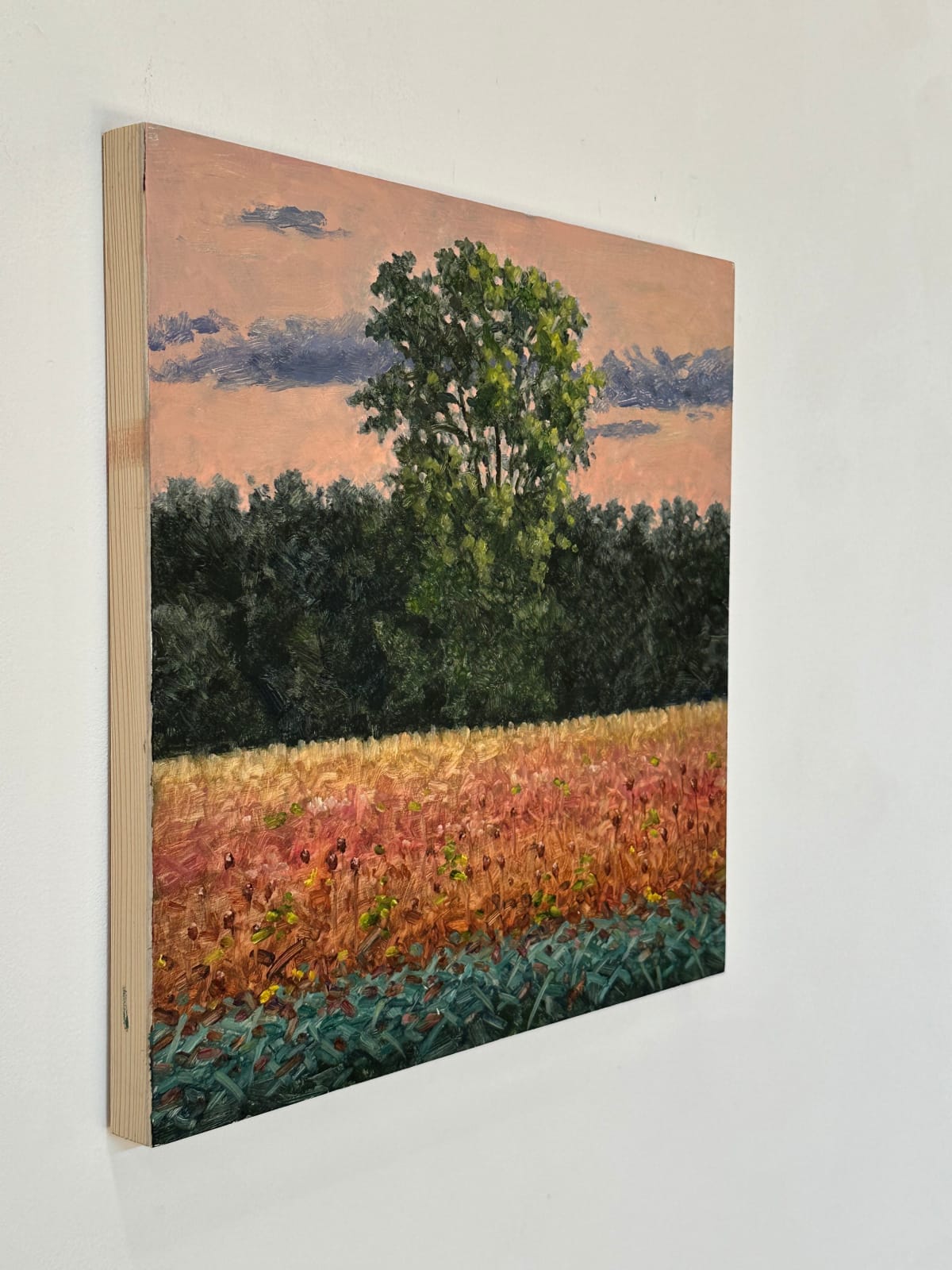 Thomas Sarrantonio, Field Painting September 19, 2023