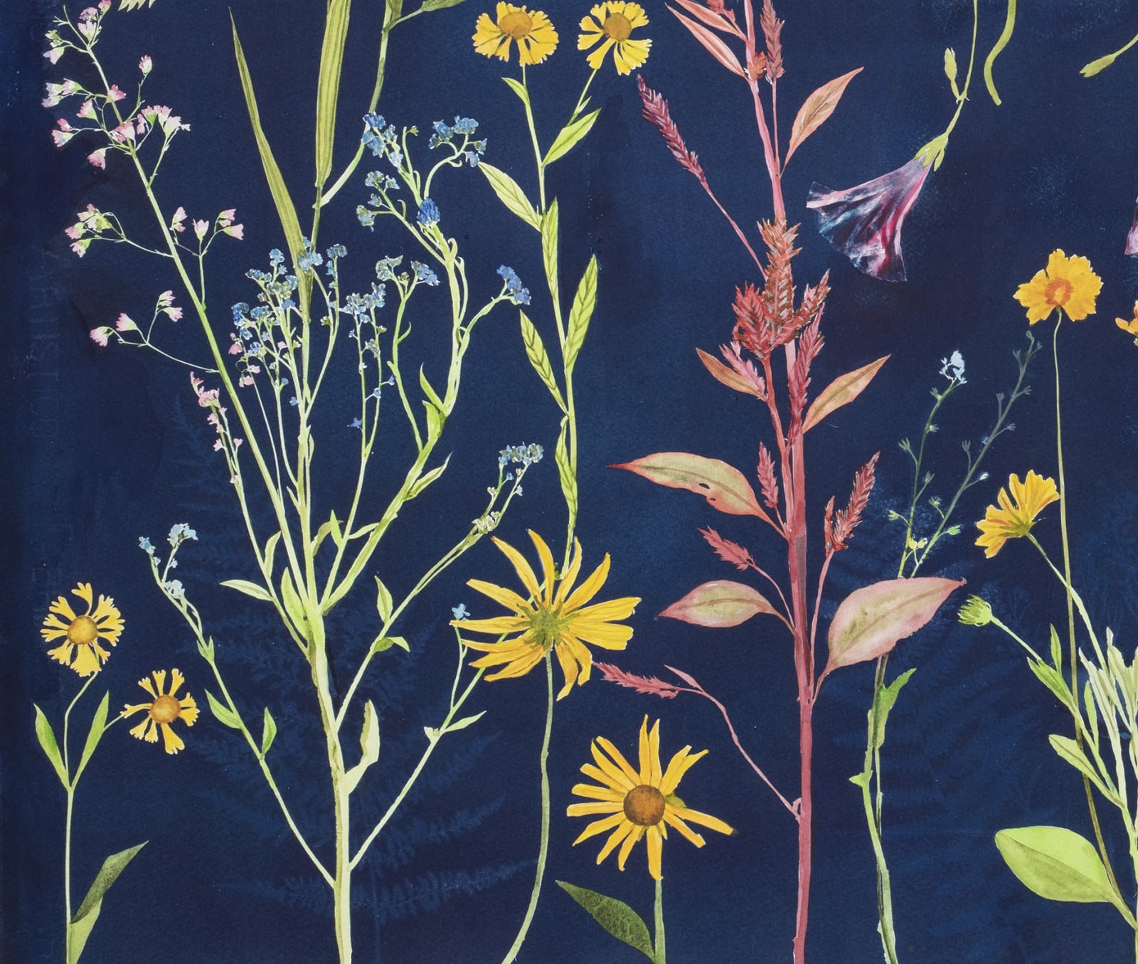 Julia Whitney Barnes, Cyanotype Painting (Morning Glories, Rose of Sharon, Hellenium, Swallowtail, etc.), 2021