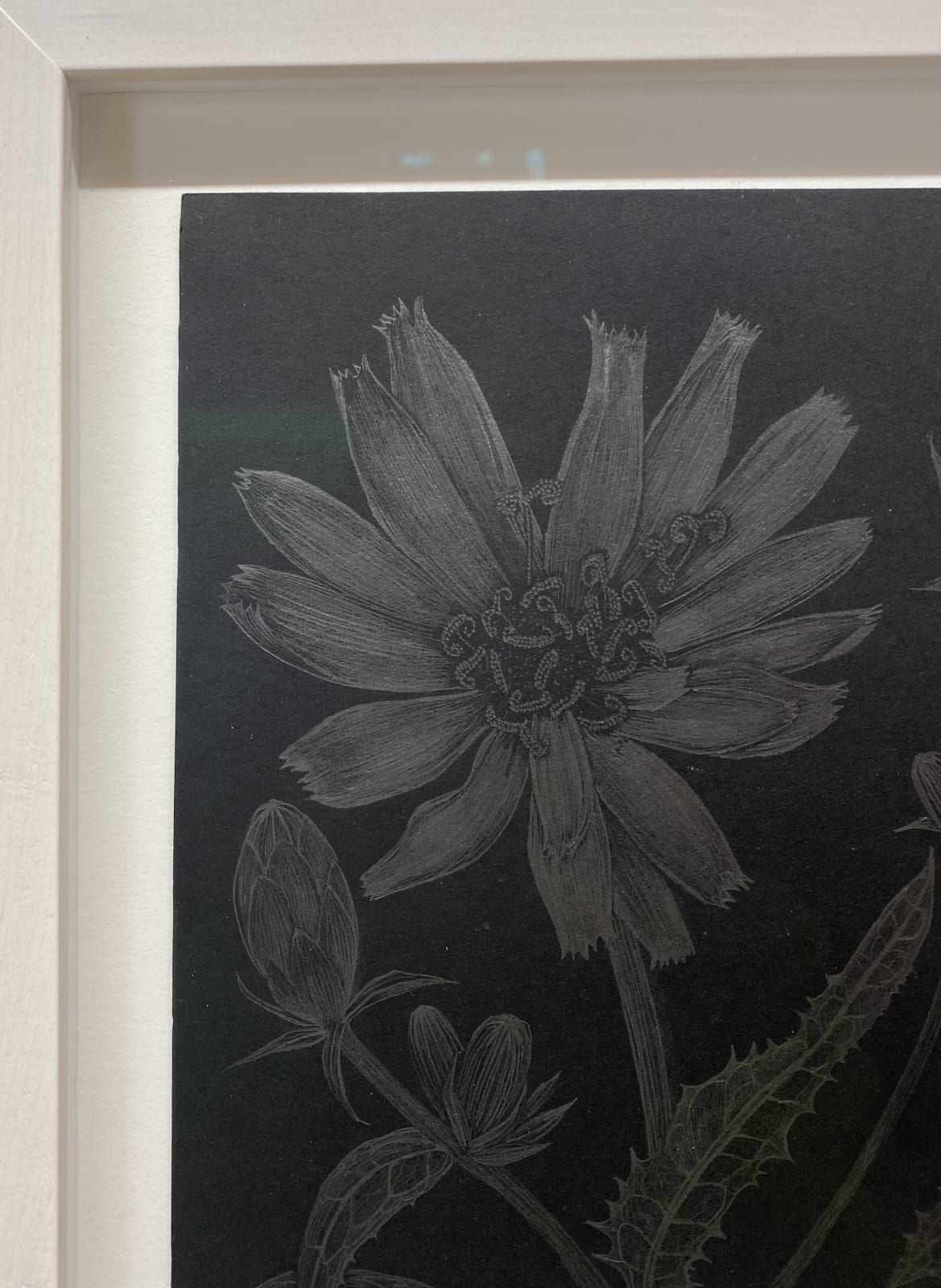 Margot Glass, Chicory 1, 2022