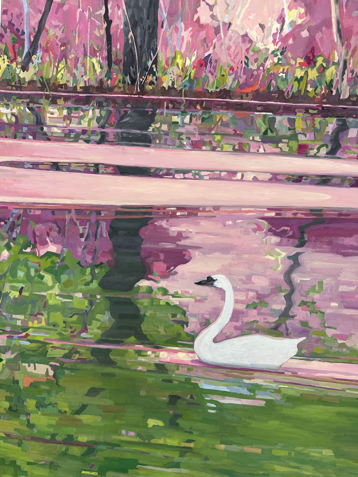 KK Kozik, Swans, 2024