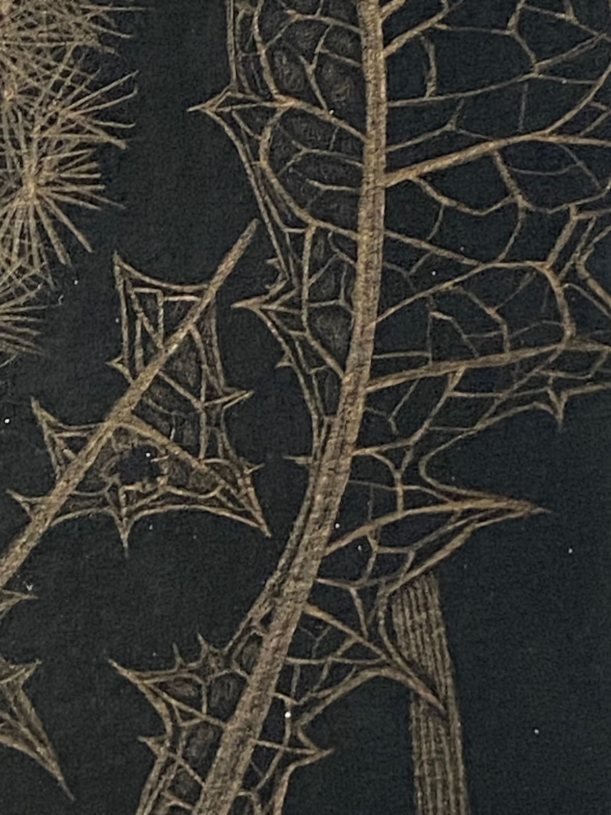 Margot Glass, Dandelion with Two Buds, 2022