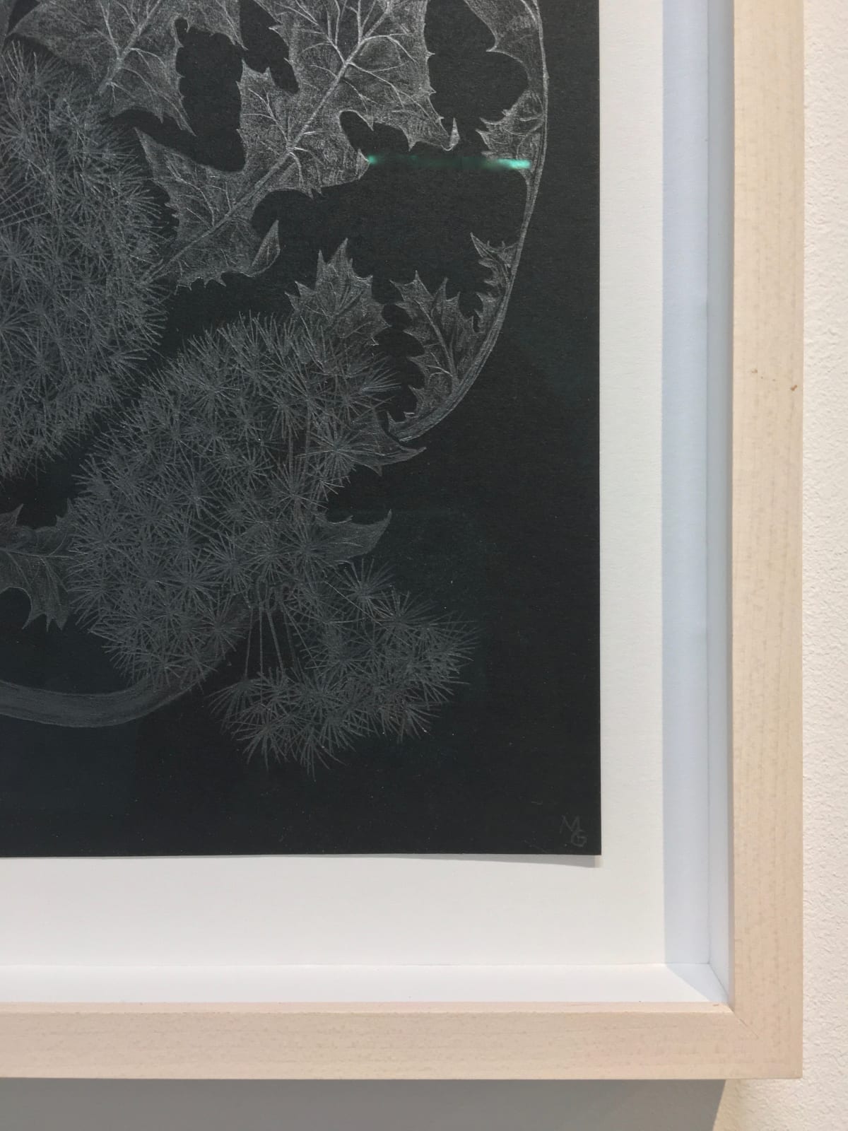 Margot Glass, Five Dandelions, 2018