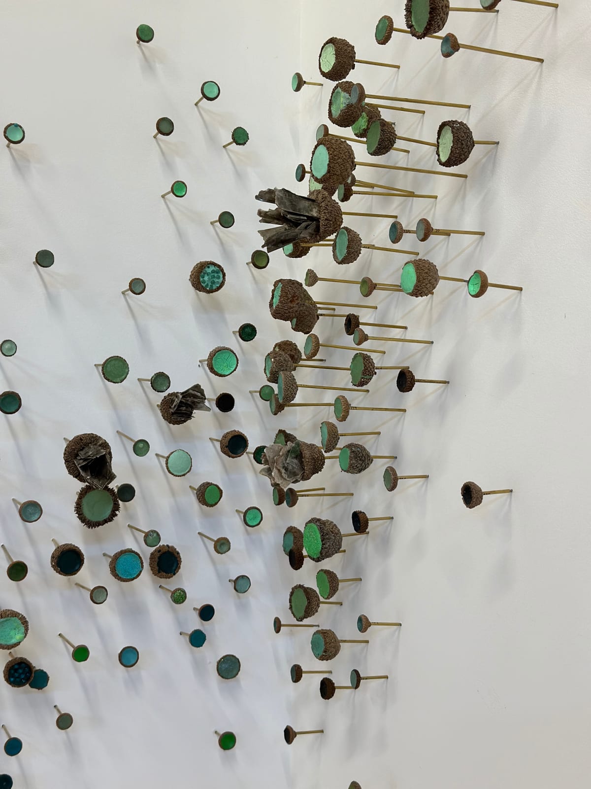 Julie Maren, Aquatic Garden, 2024