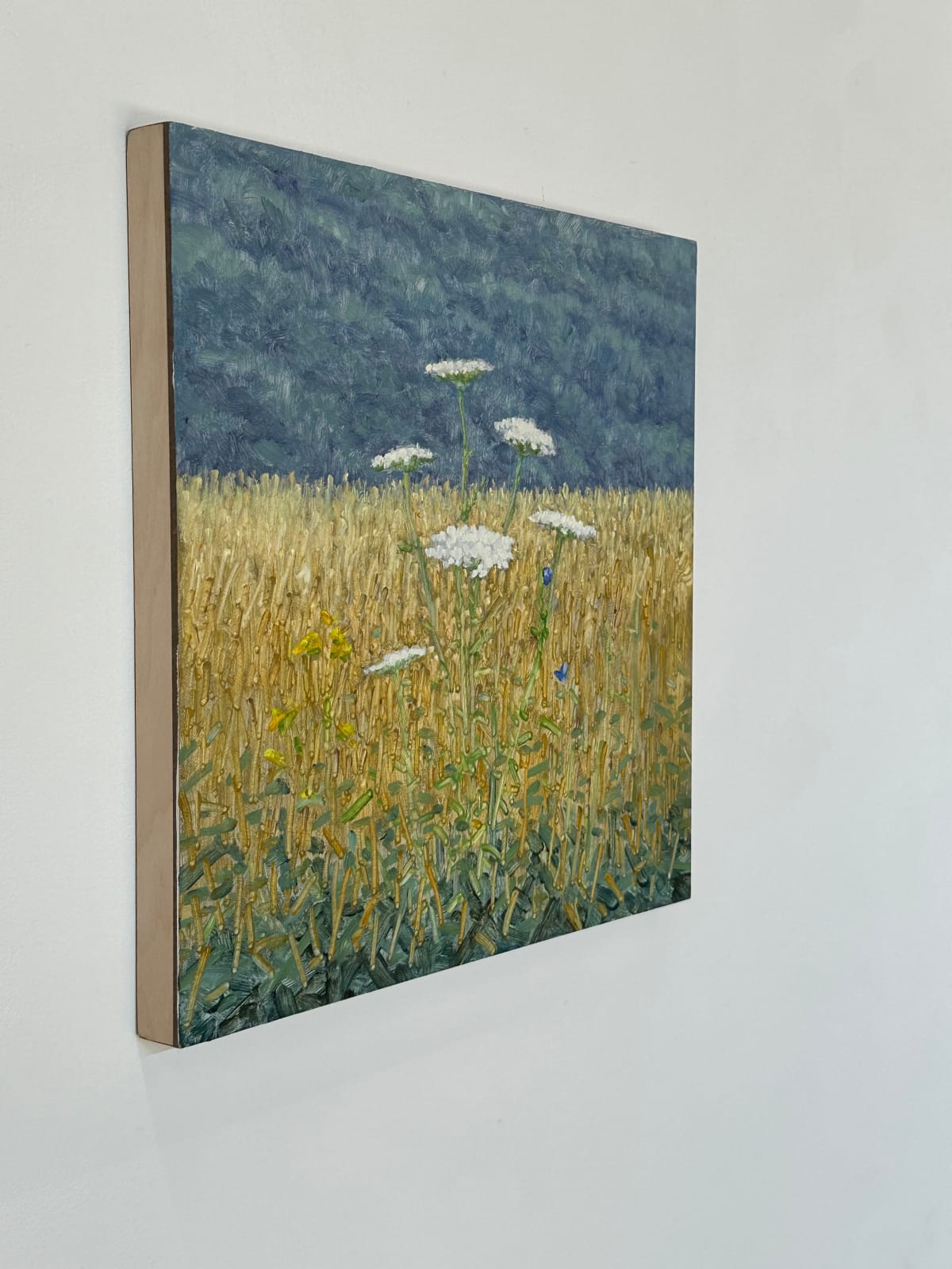 Thomas Sarrantonio, Field Painting July 15, 2024