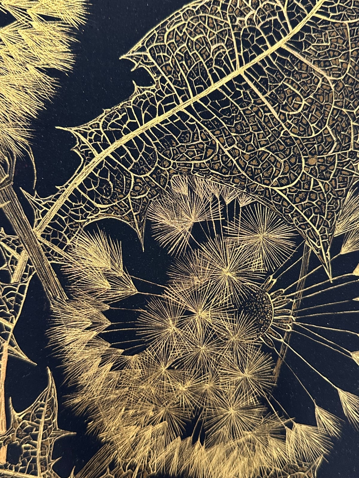 Margot Glass, Dandelions with Bud 1, 2024