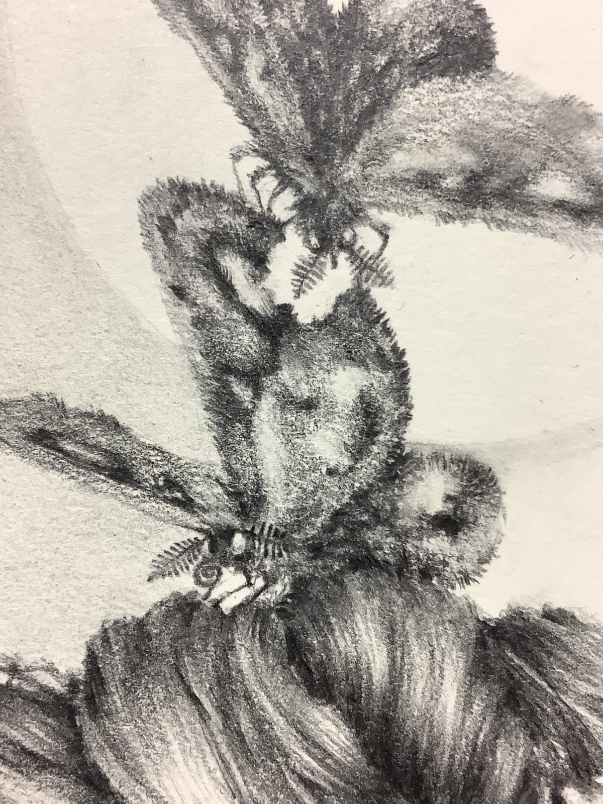 Francine Fox, Chapter Fine Focus, 2012