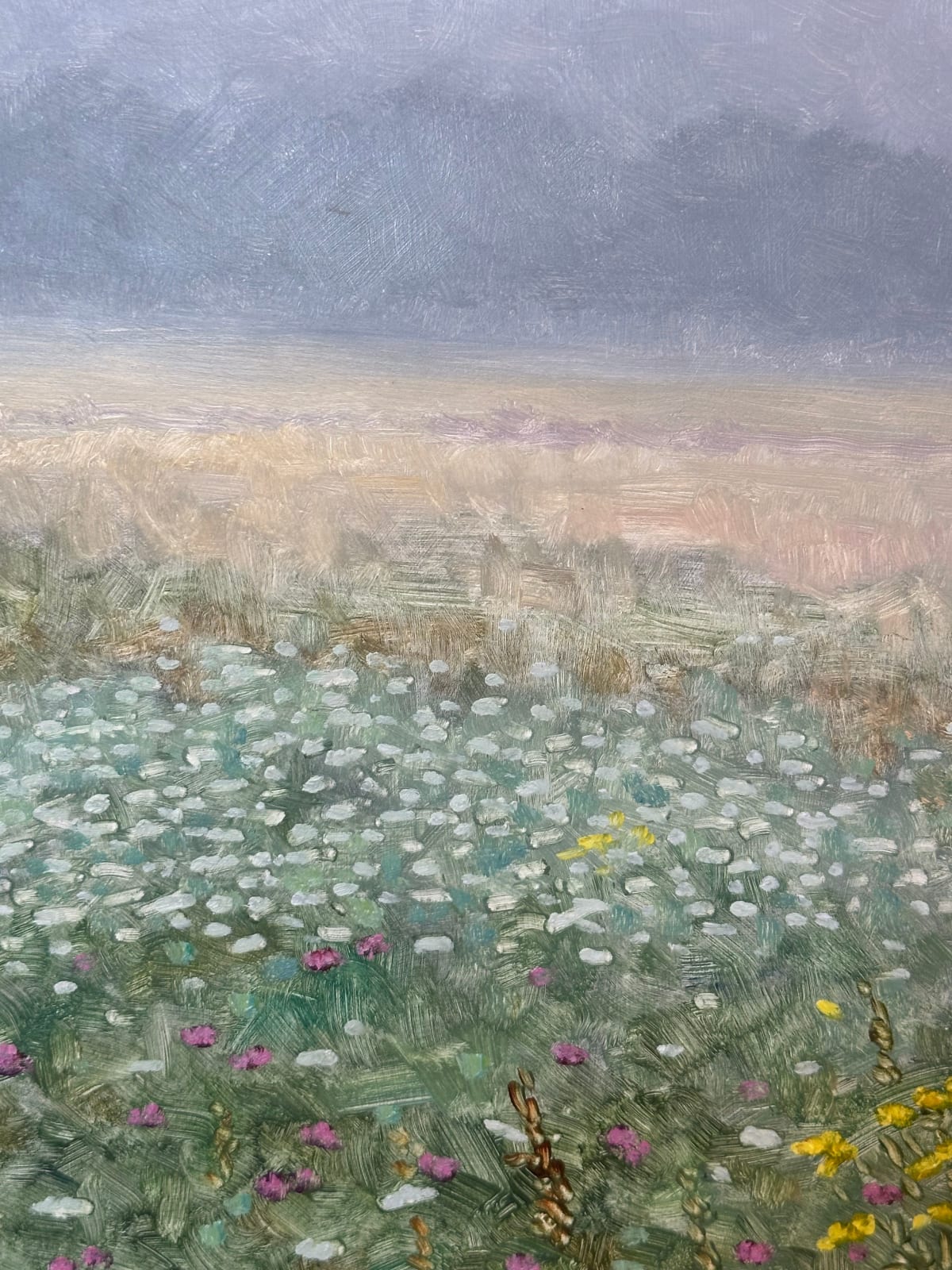 Thomas Sarrantonio, Field Painting August 16, 2024