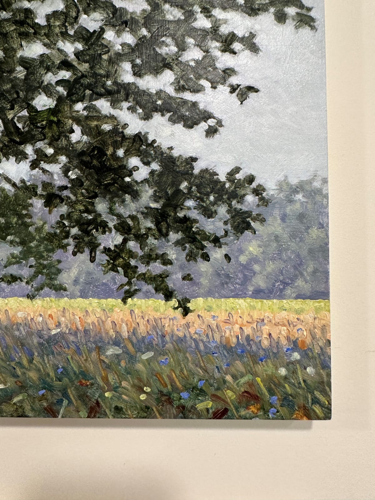Thomas Sarrantonio, Field Study August 24, 2020