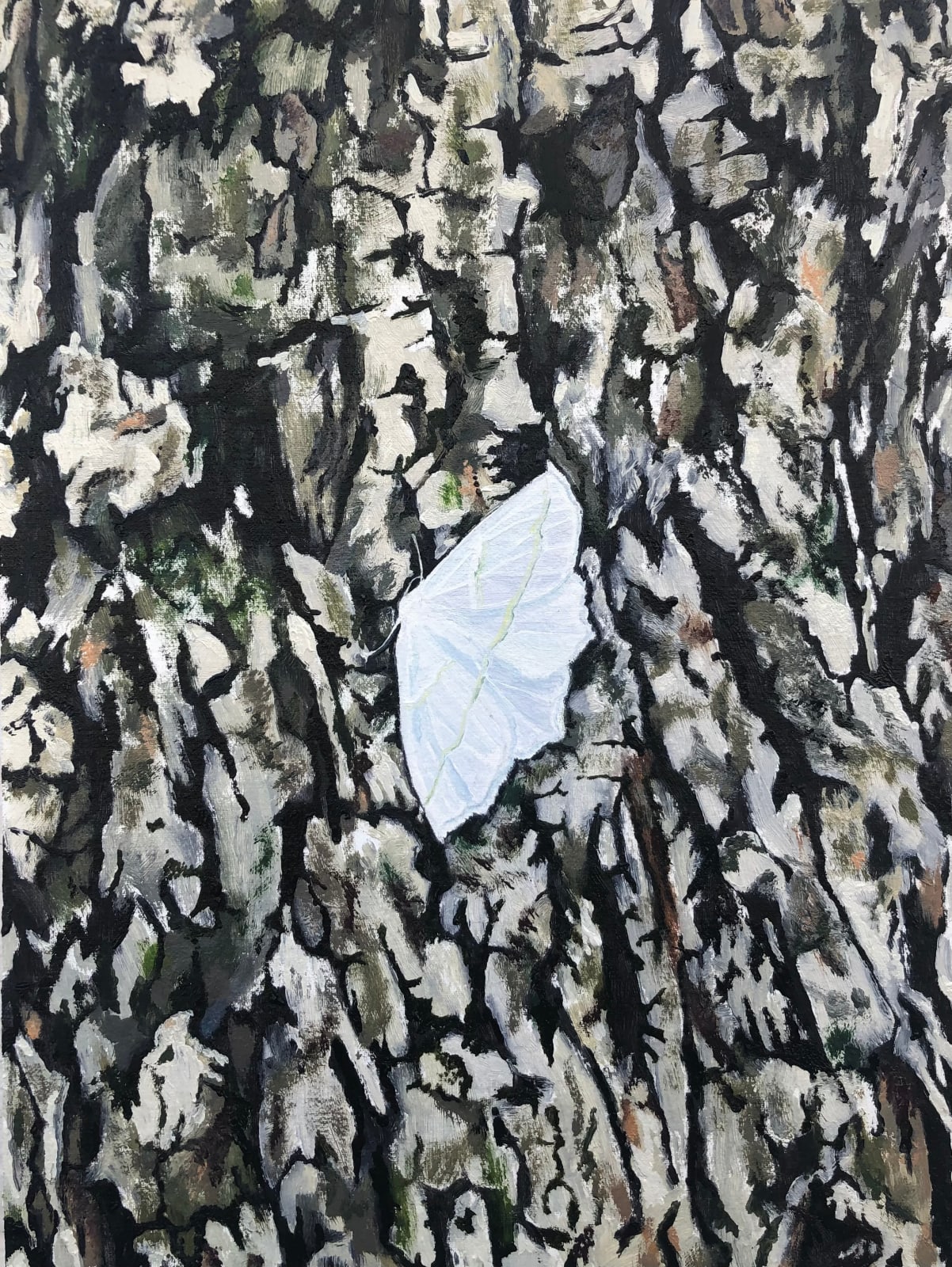 Amanda Acker, Pale Beauty, 2023