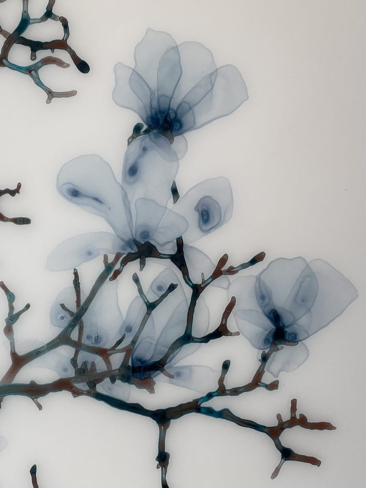 Jackie Battenfield, Spun Sugar, 2019