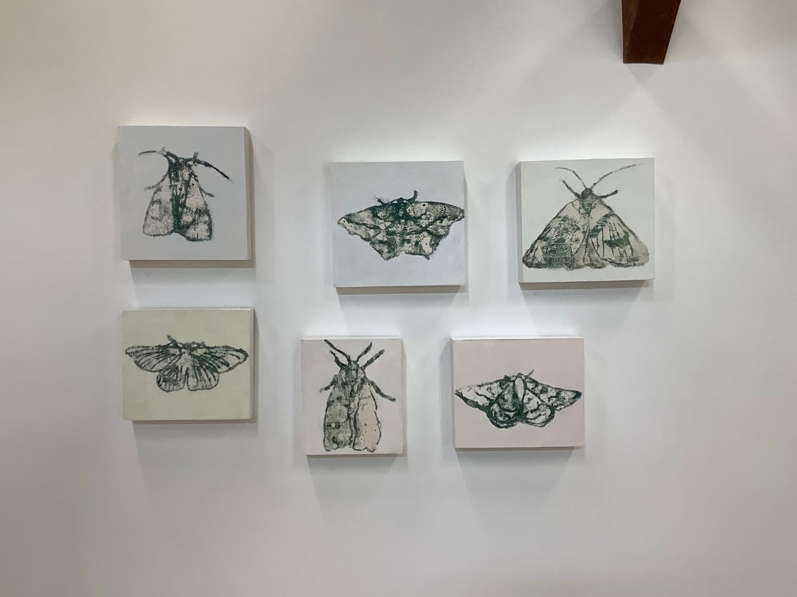David Konigsberg, Moth #3, 2020