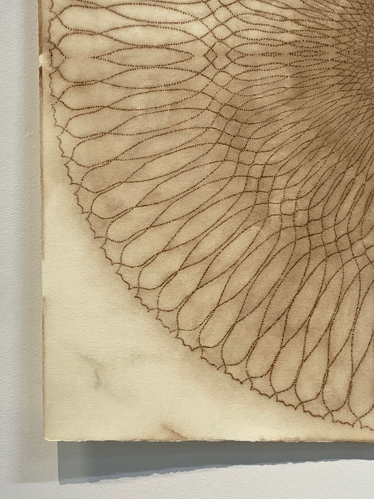 Mary Judge, Circle Series 30/1, 2006