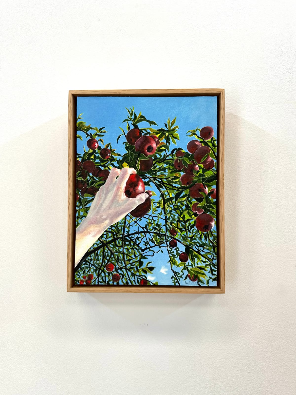 Amanda Acker, Apple Picking, 2023