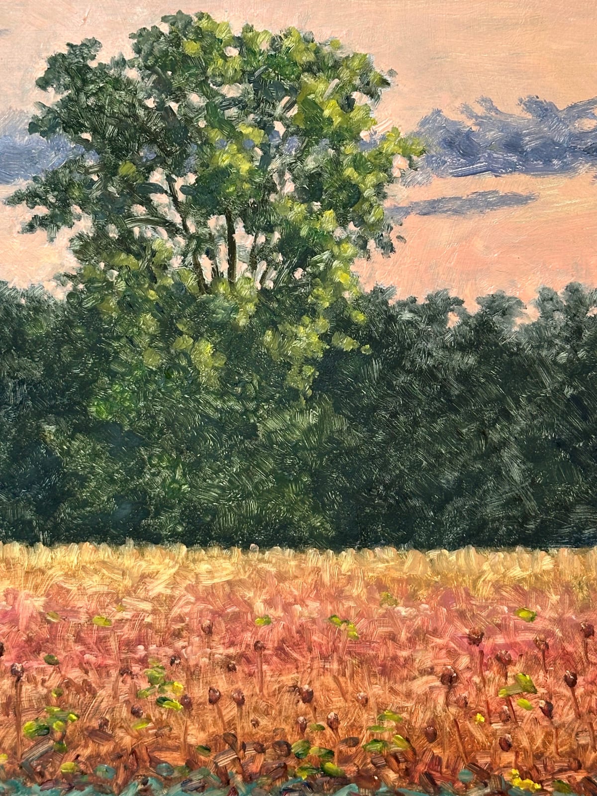 Thomas Sarrantonio, Field Painting September 19, 2023