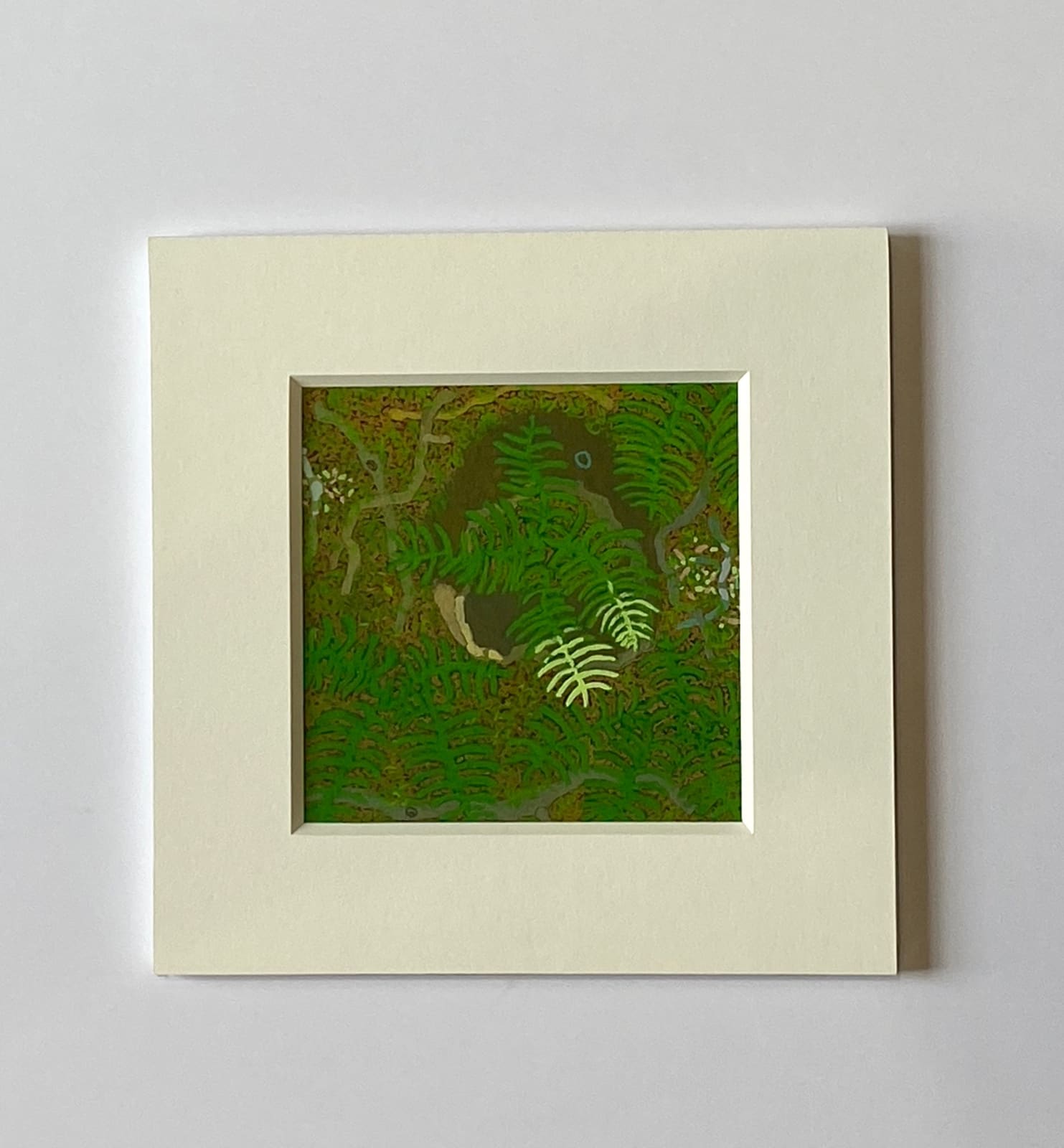 Gregory Hennen, Stump and Ferns, May, Wyatt Mt., 2018
