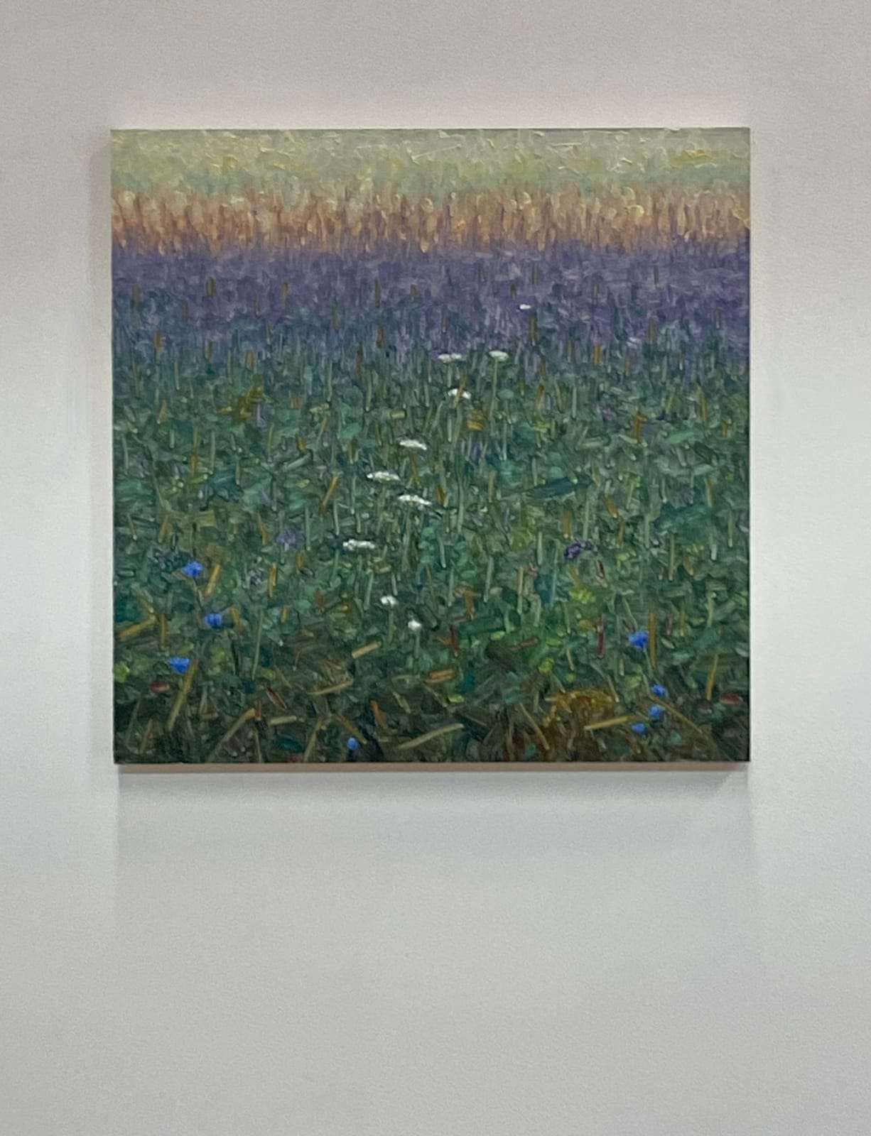 Thomas Sarrantonio, Field Painting August 3, 2022