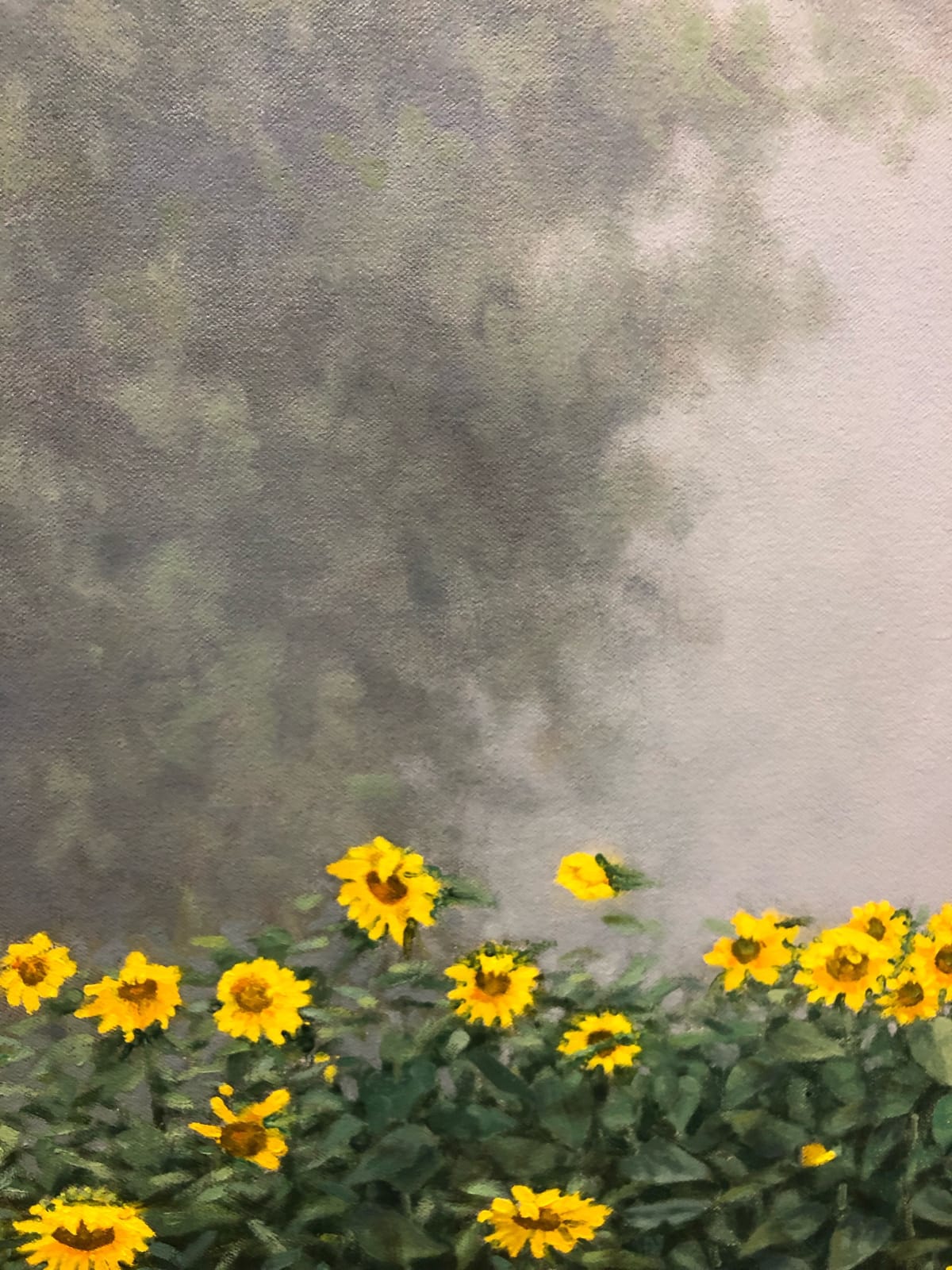 Thomas Sarrantonio, Visibility, 2019