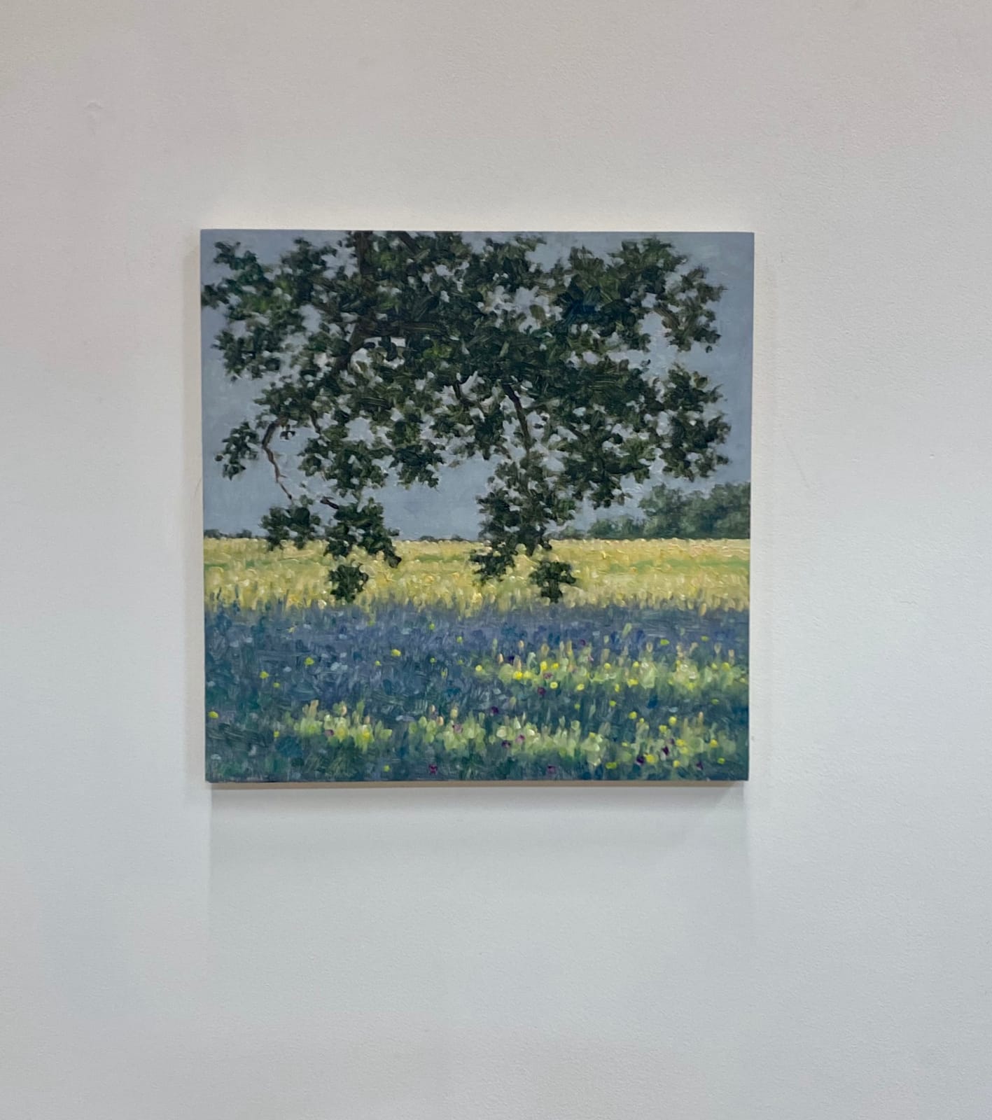 Thomas Sarrantonio, Field Painting June 15, 2022