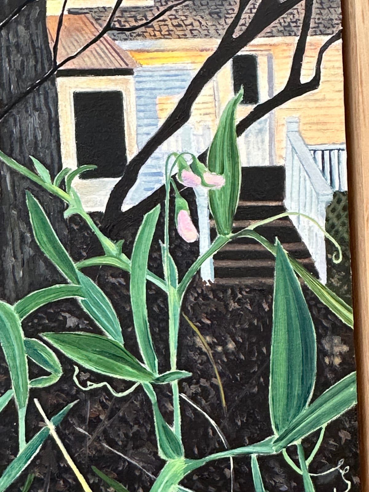Amanda Acker, November Bloom, 2023