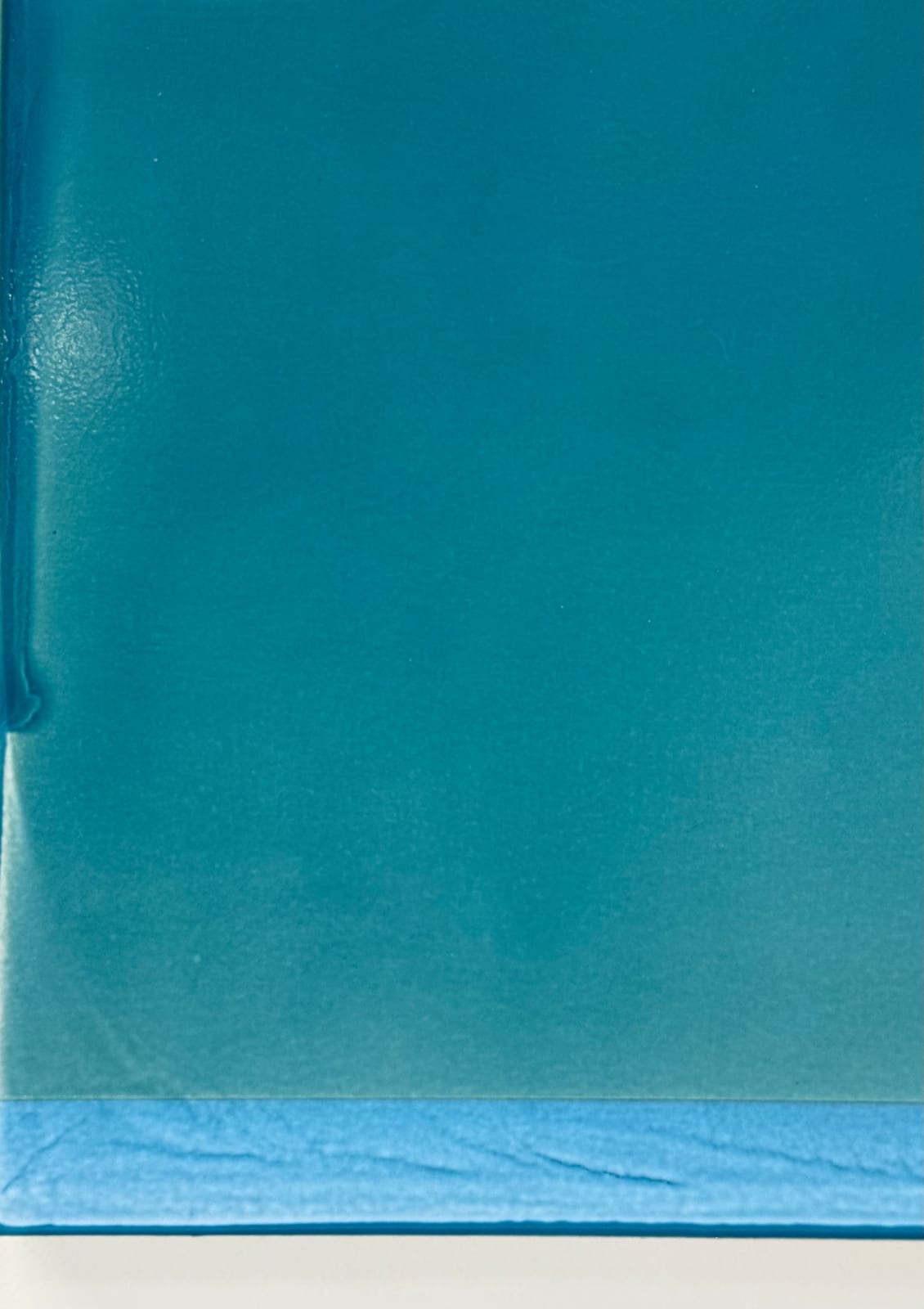 Susan English, Edge of Water, 2025
