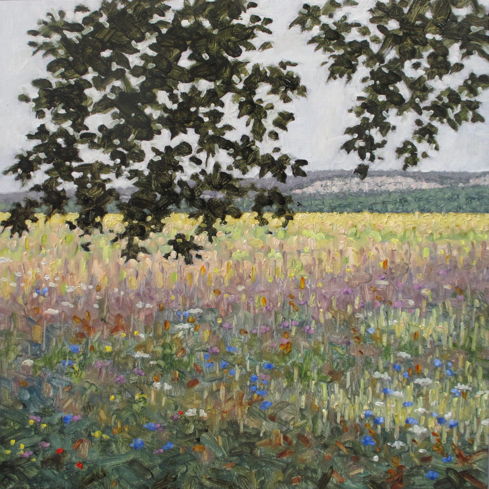 Thomas Sarrantonio, Field Painting August 3, 2020