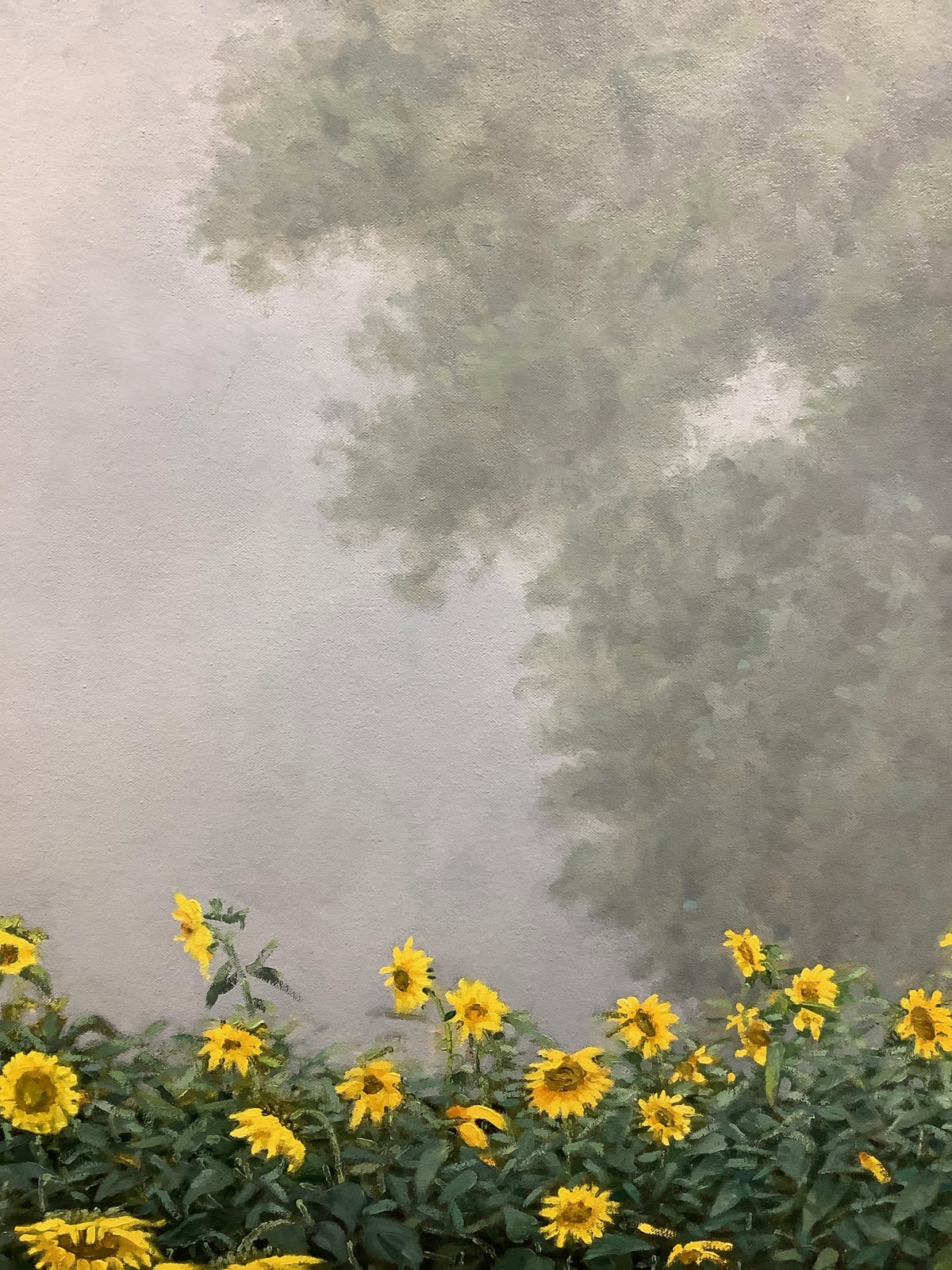 Thomas Sarrantonio, Visibility, 2019